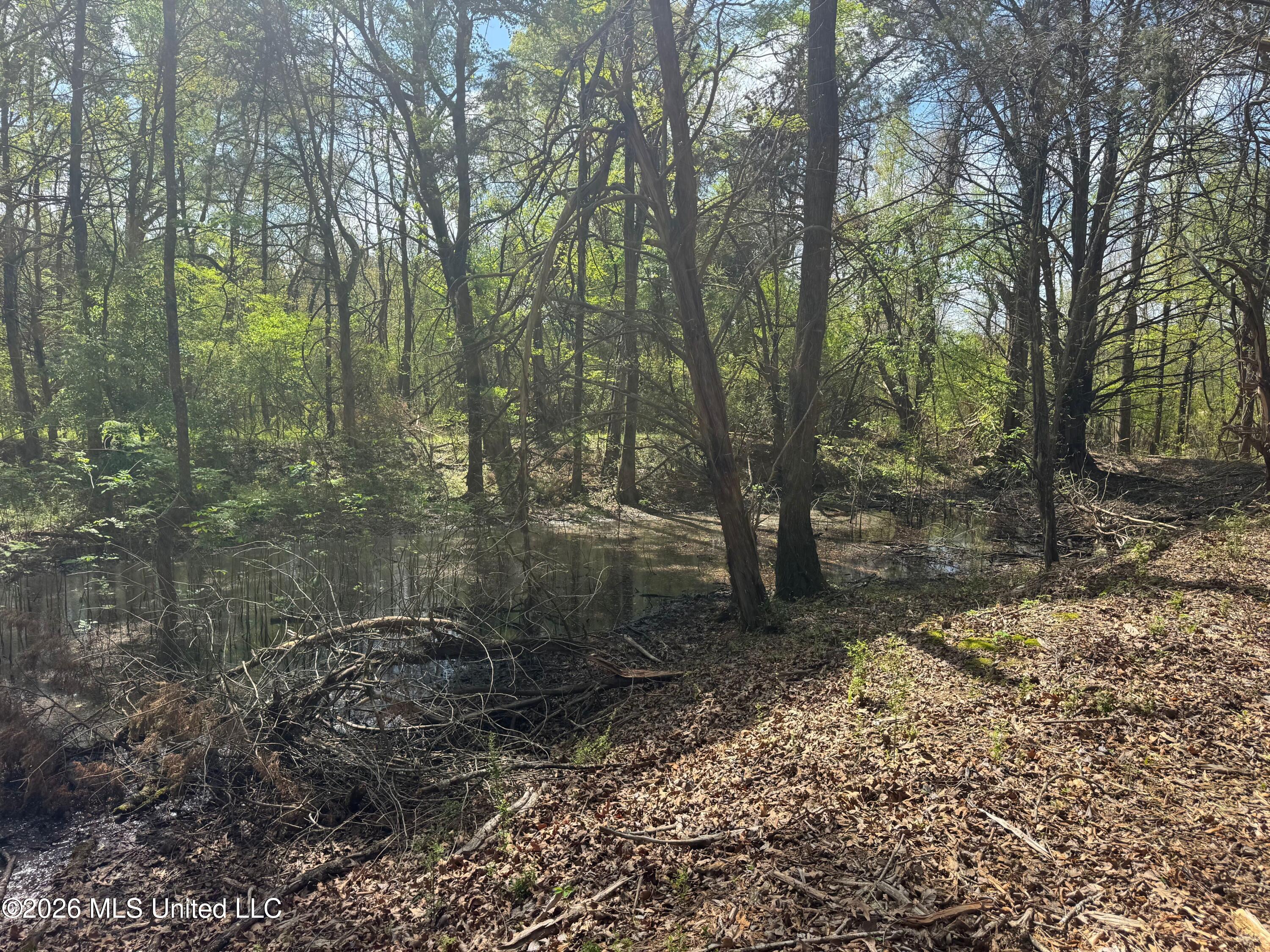 150 Central Boulevard Property Photo 20