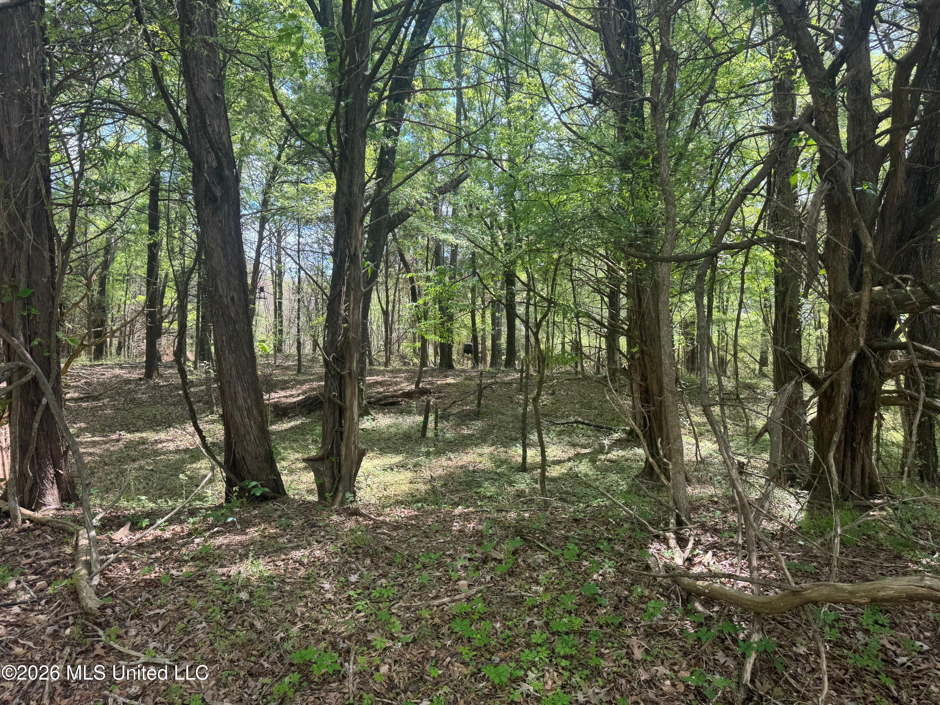 150 Central Boulevard Property Photo 21