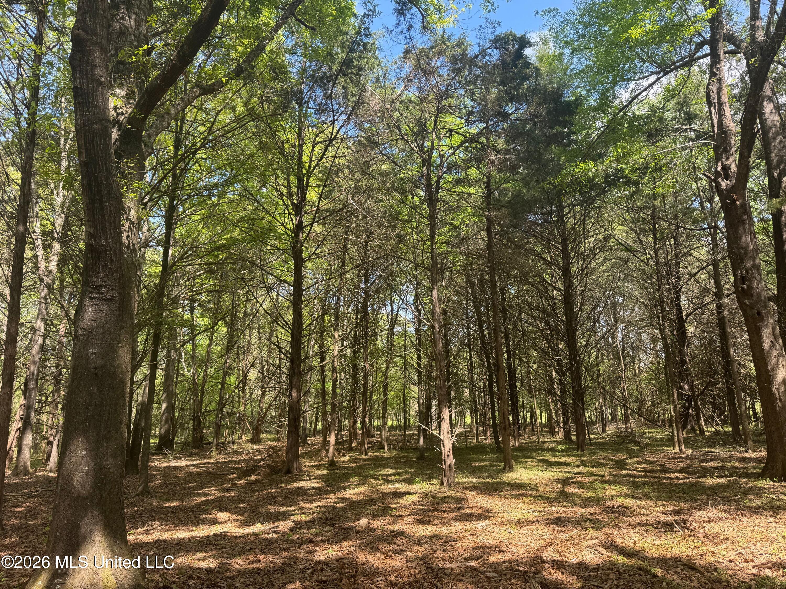 150 Central Boulevard Property Photo 36