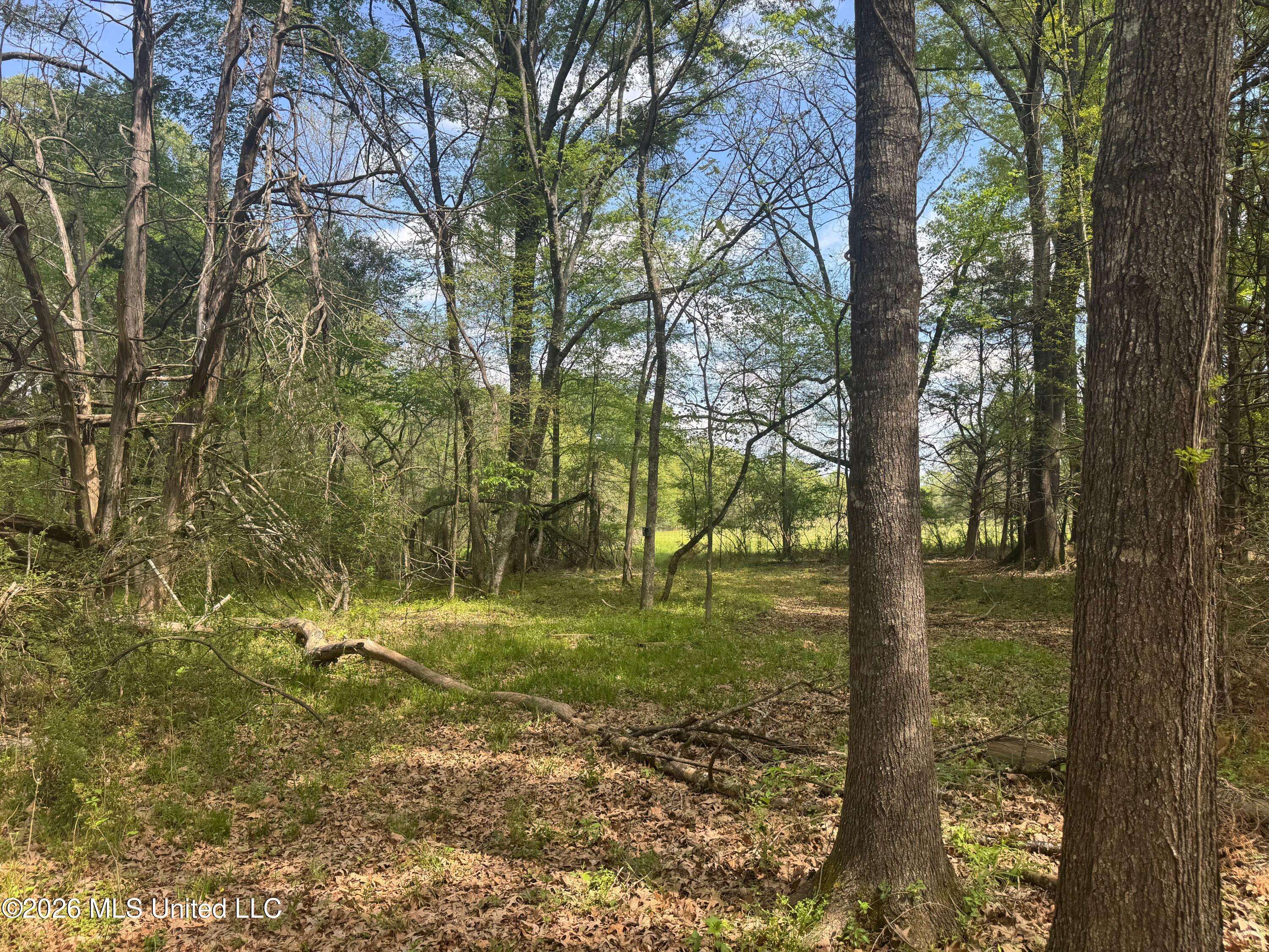 150 Central Boulevard Property Photo 40