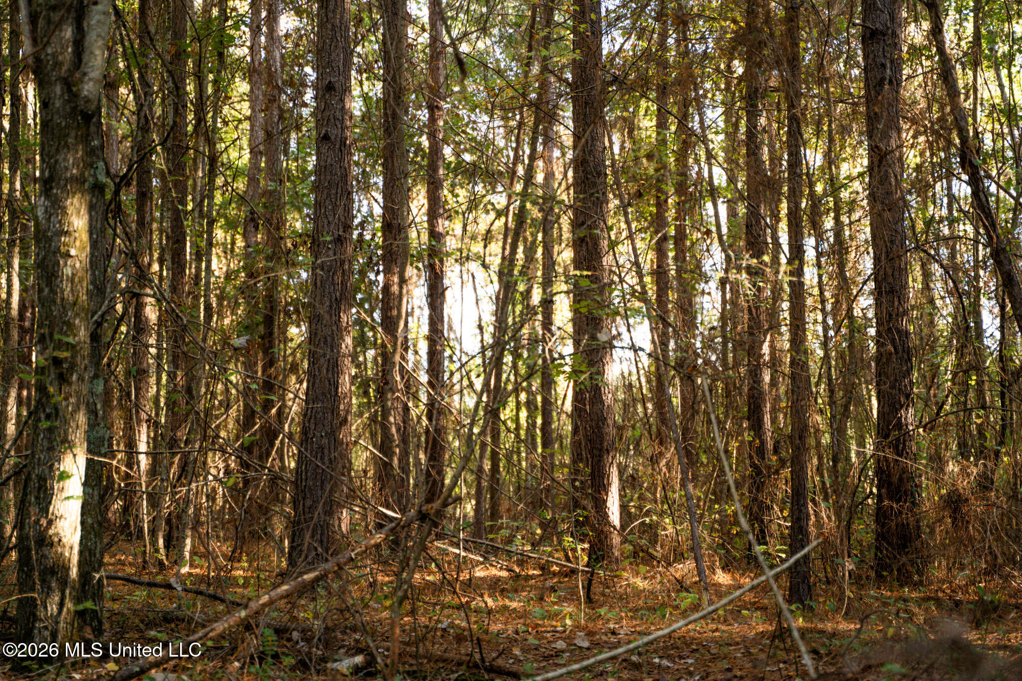 Sandflat Road Property Photo 4
