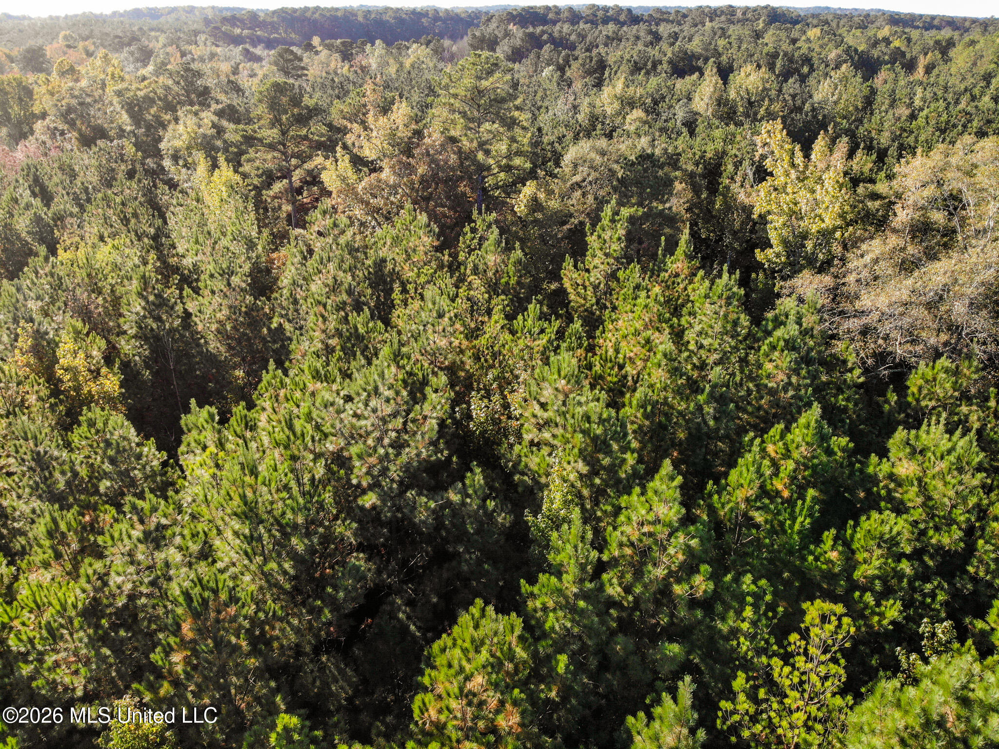 Sandflat Road Property Photo 11