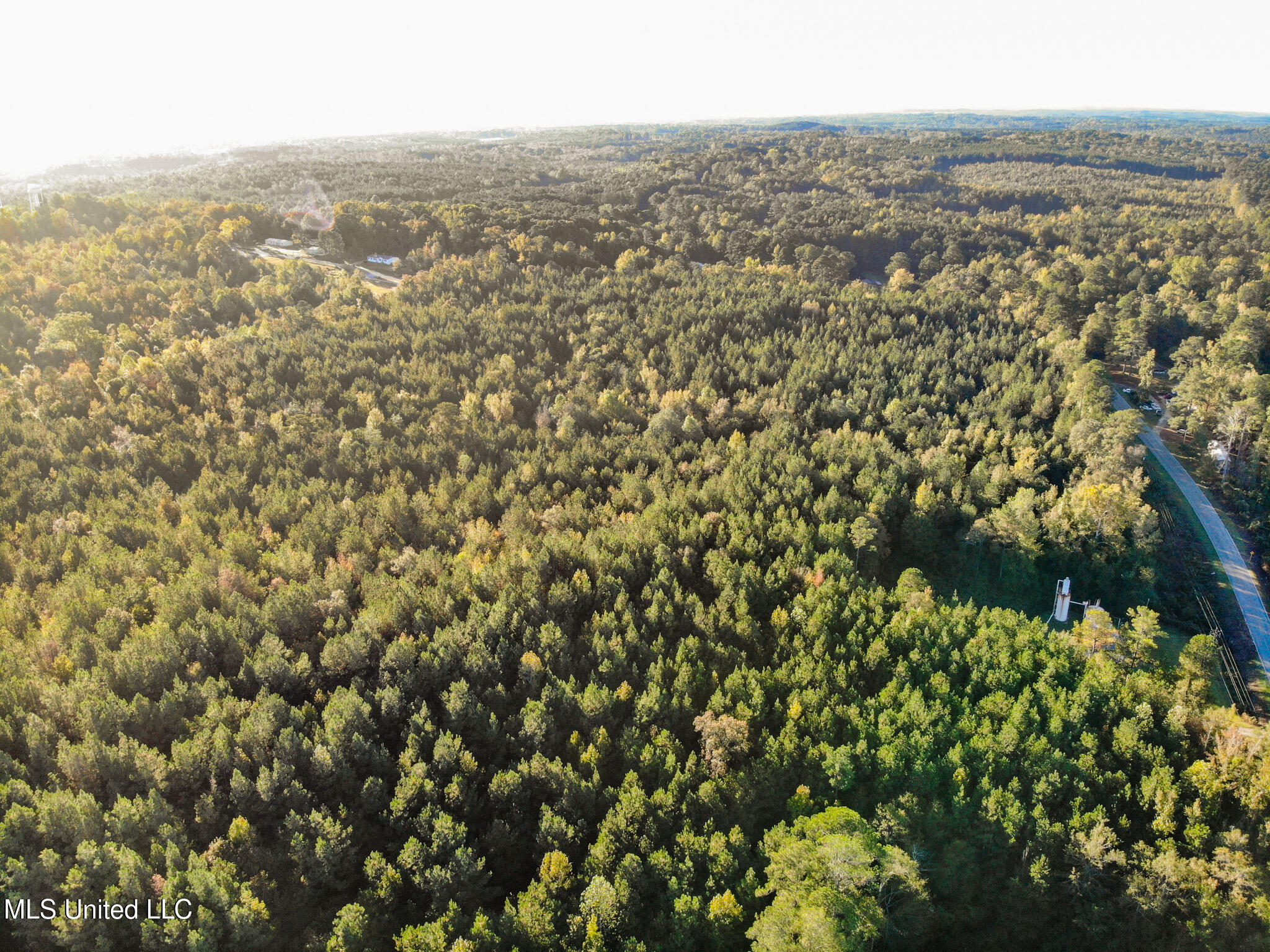 Bolin Long Creek Road Property Photo 3
