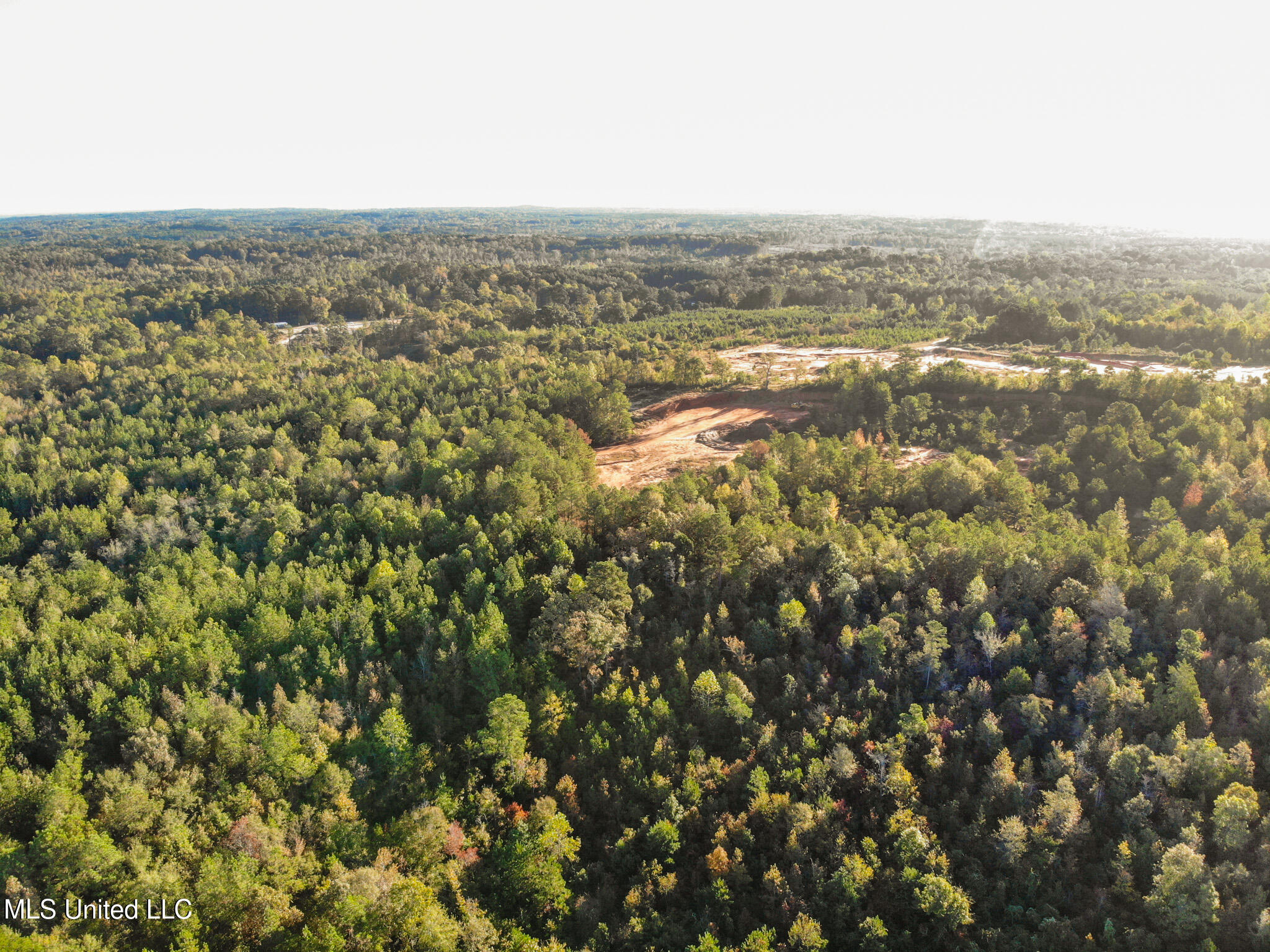 Bolin Long Creek Road Property Photo 4