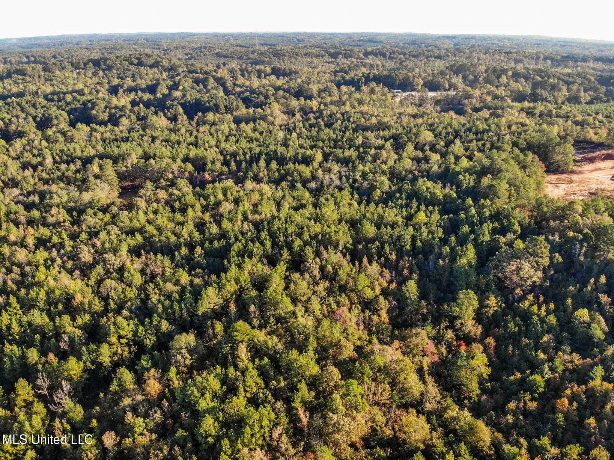 Bolin Long Creek Road Property Photo 5
