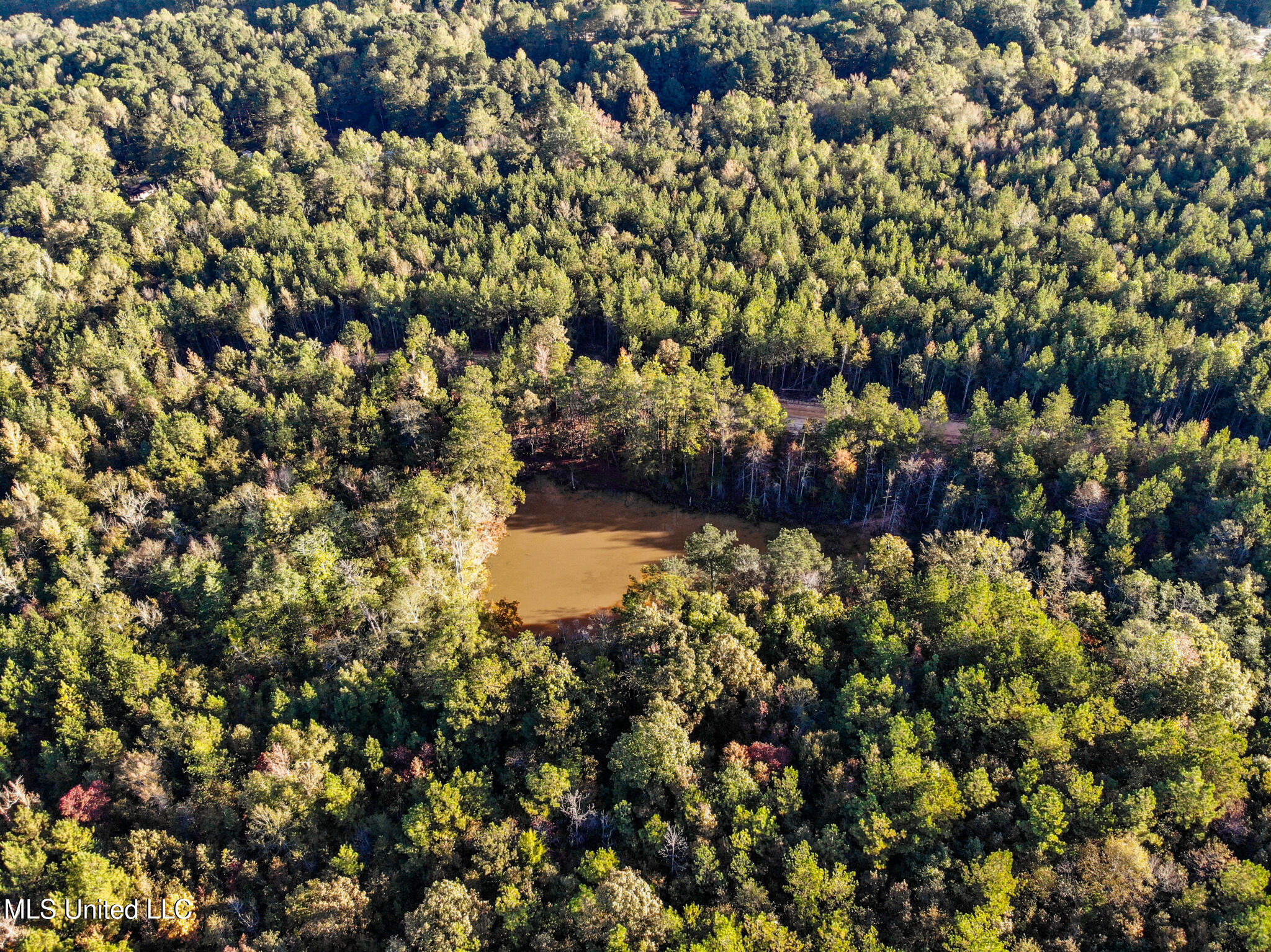 Bolin Long Creek Road Property Photo 6