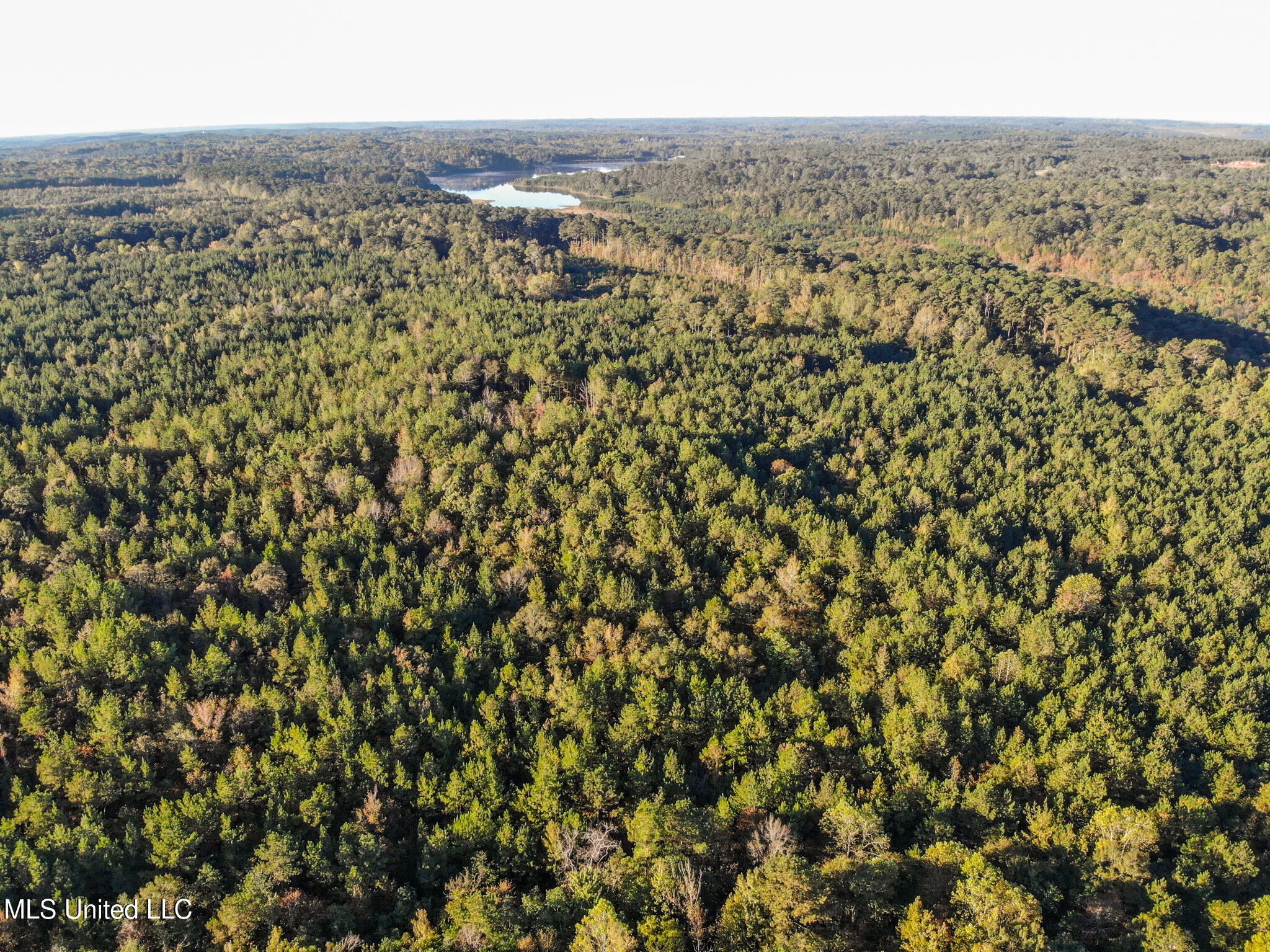 Bolin Long Creek Road Property Photo 8
