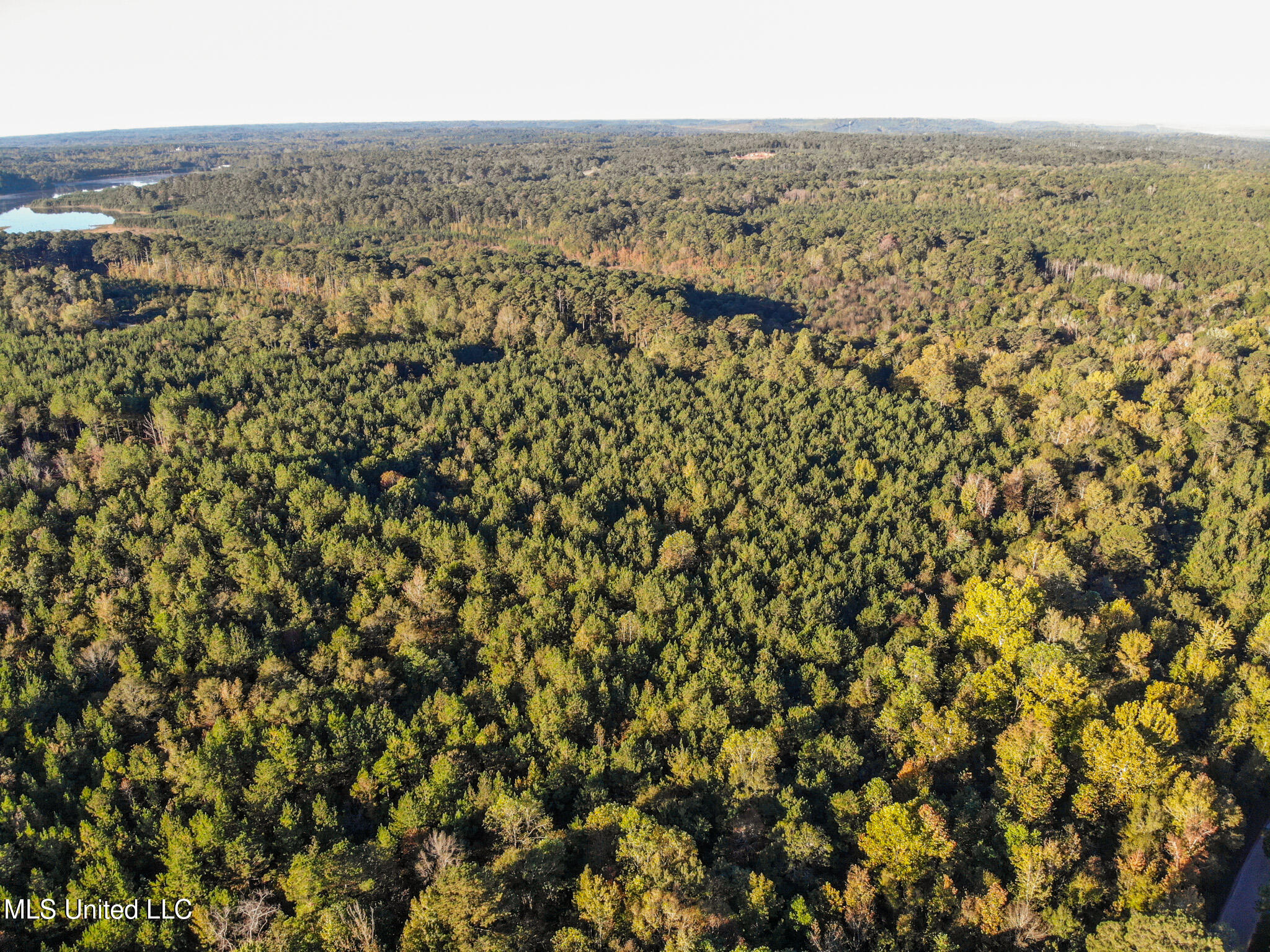 Bolin Long Creek Road Property Photo 9