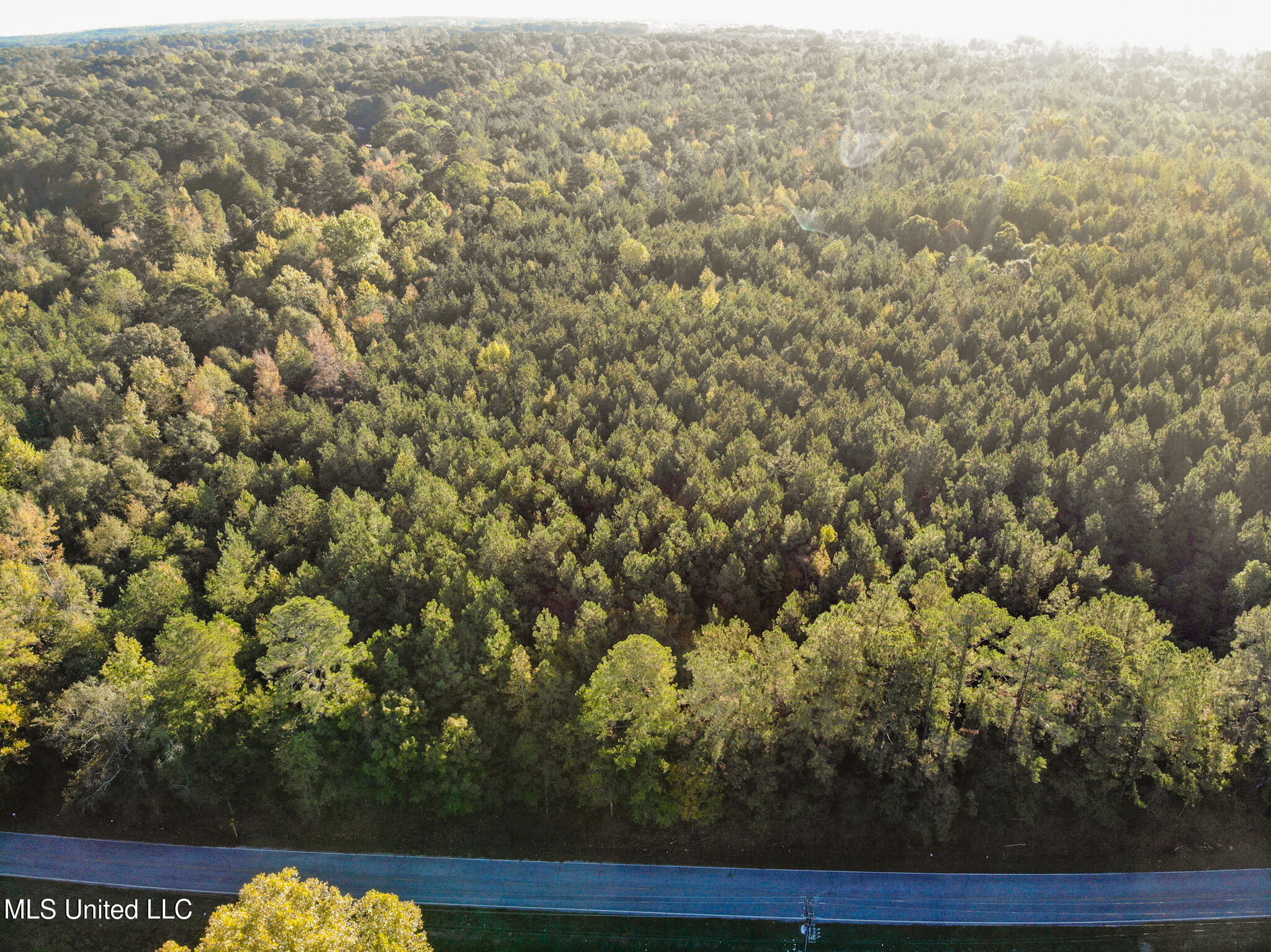 Bolin Long Creek Road Property Photo 12