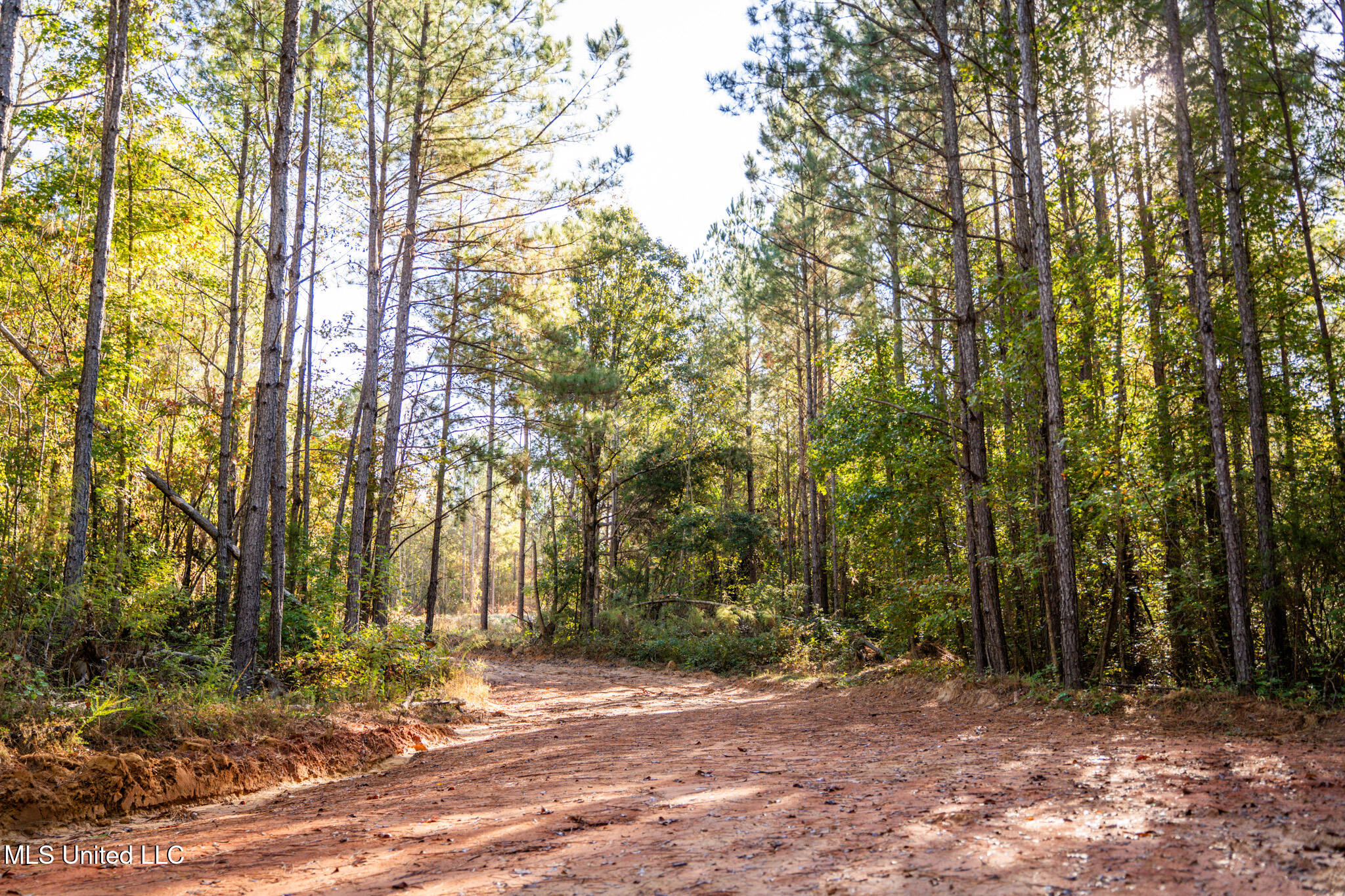 Bolin Long Creek Road Property Photo 14