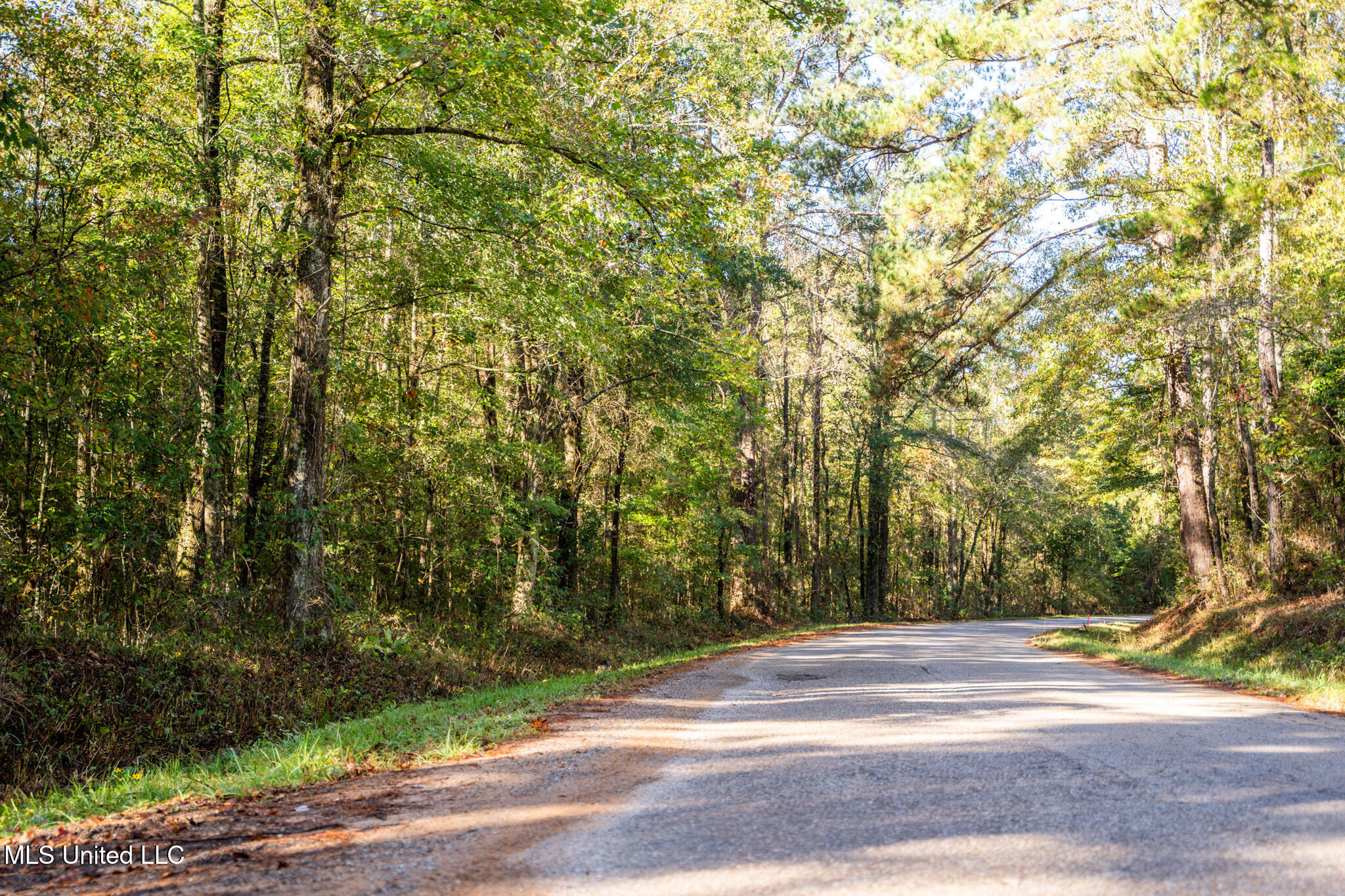 Bolin Long Creek Road Property Photo 15