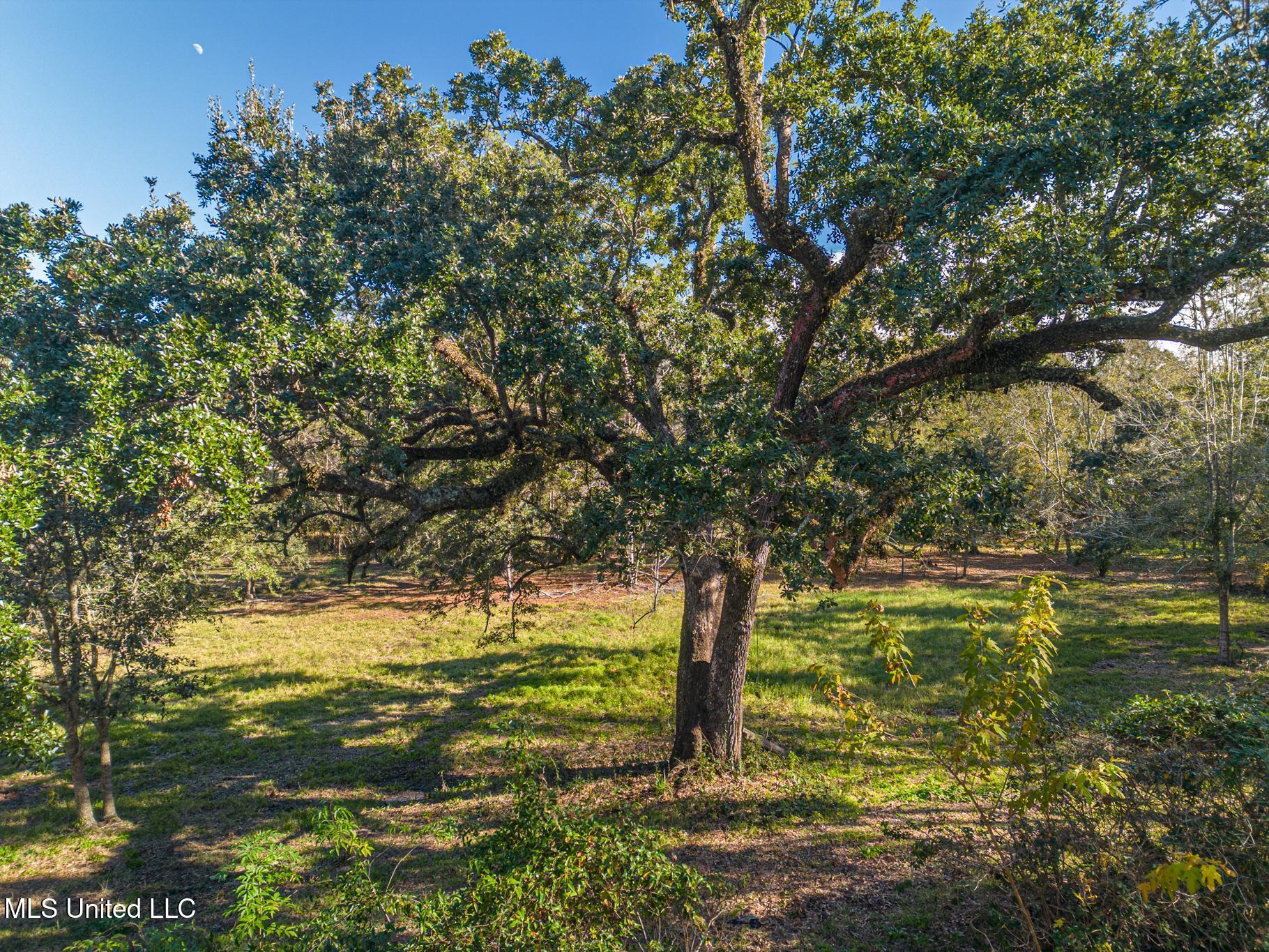 1017 Courthouse Road Property Photo 7