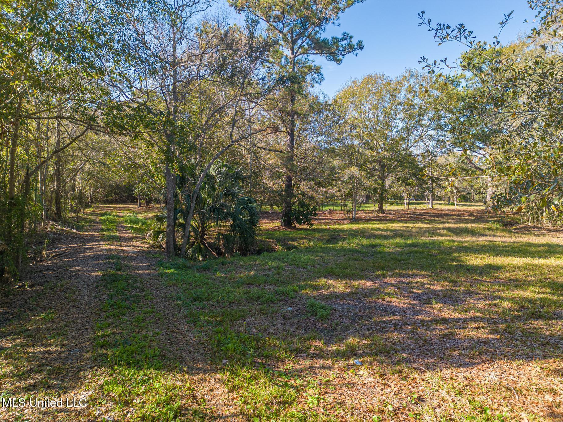 1017 Courthouse Road Property Photo 10