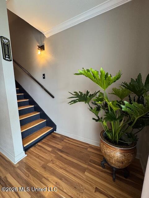 3230 Cumberland Road Property Photo 9