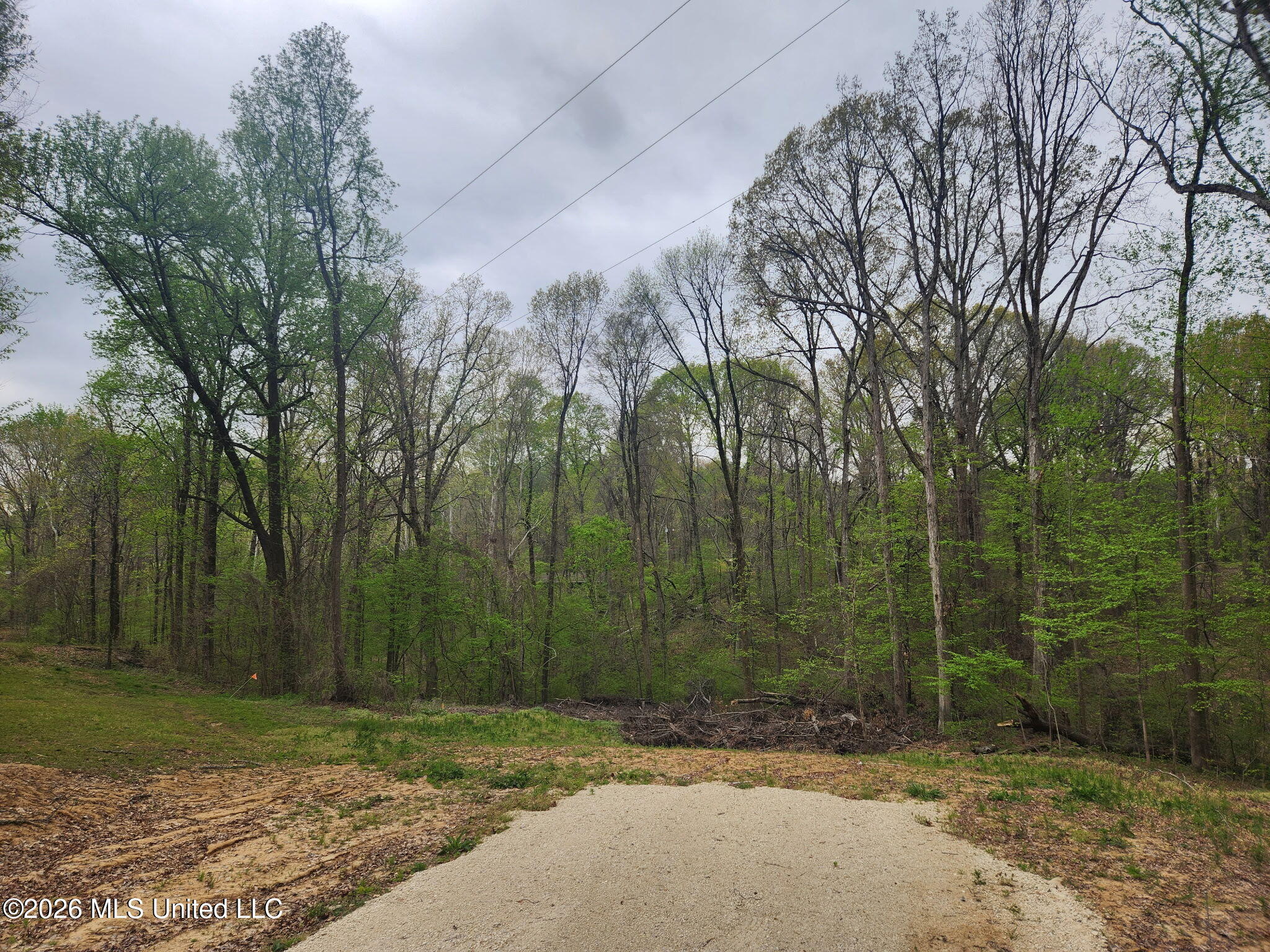 11593 High Road Property Photo 1