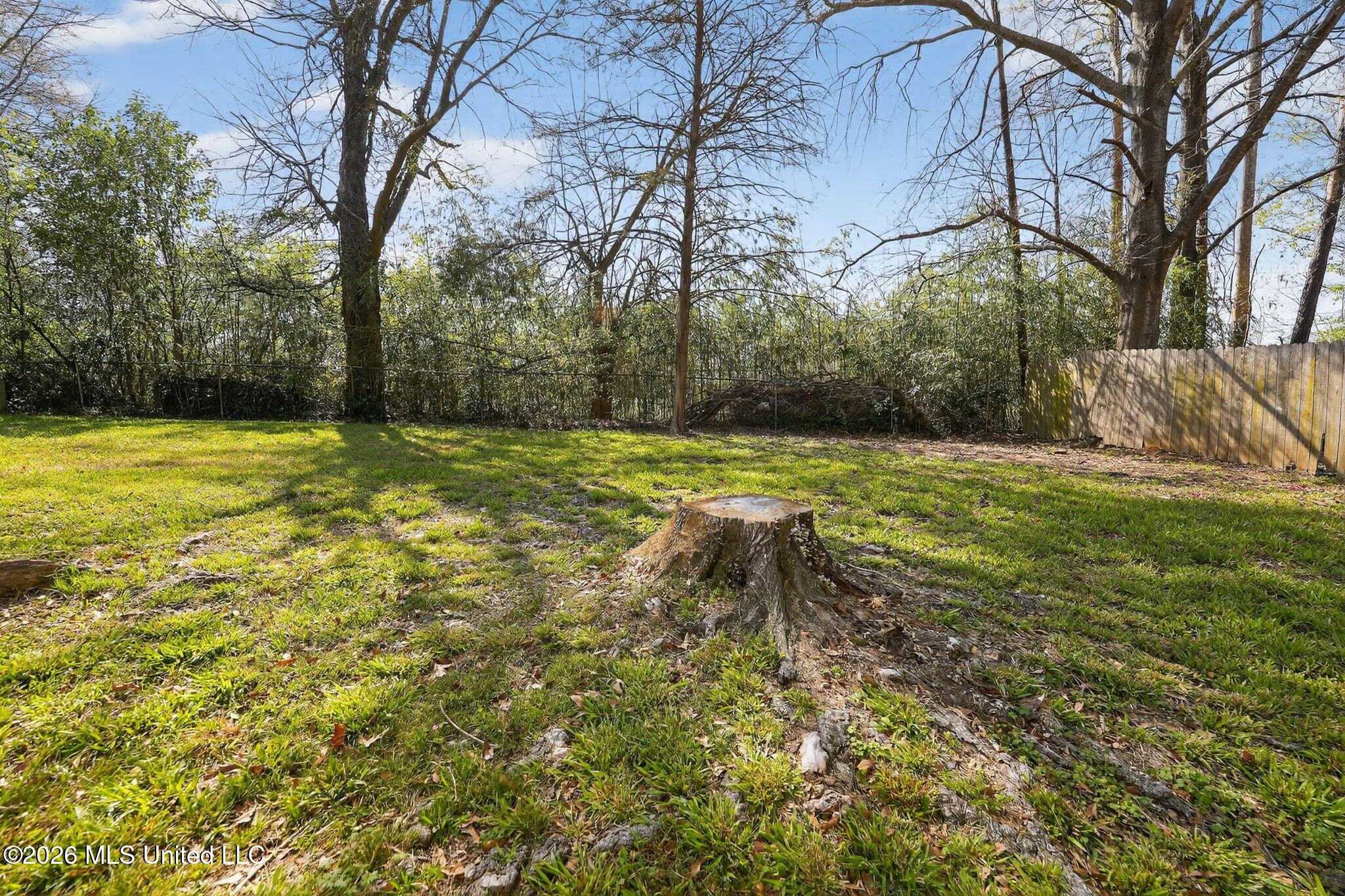 3085 Bienville Drive Property Photo 7