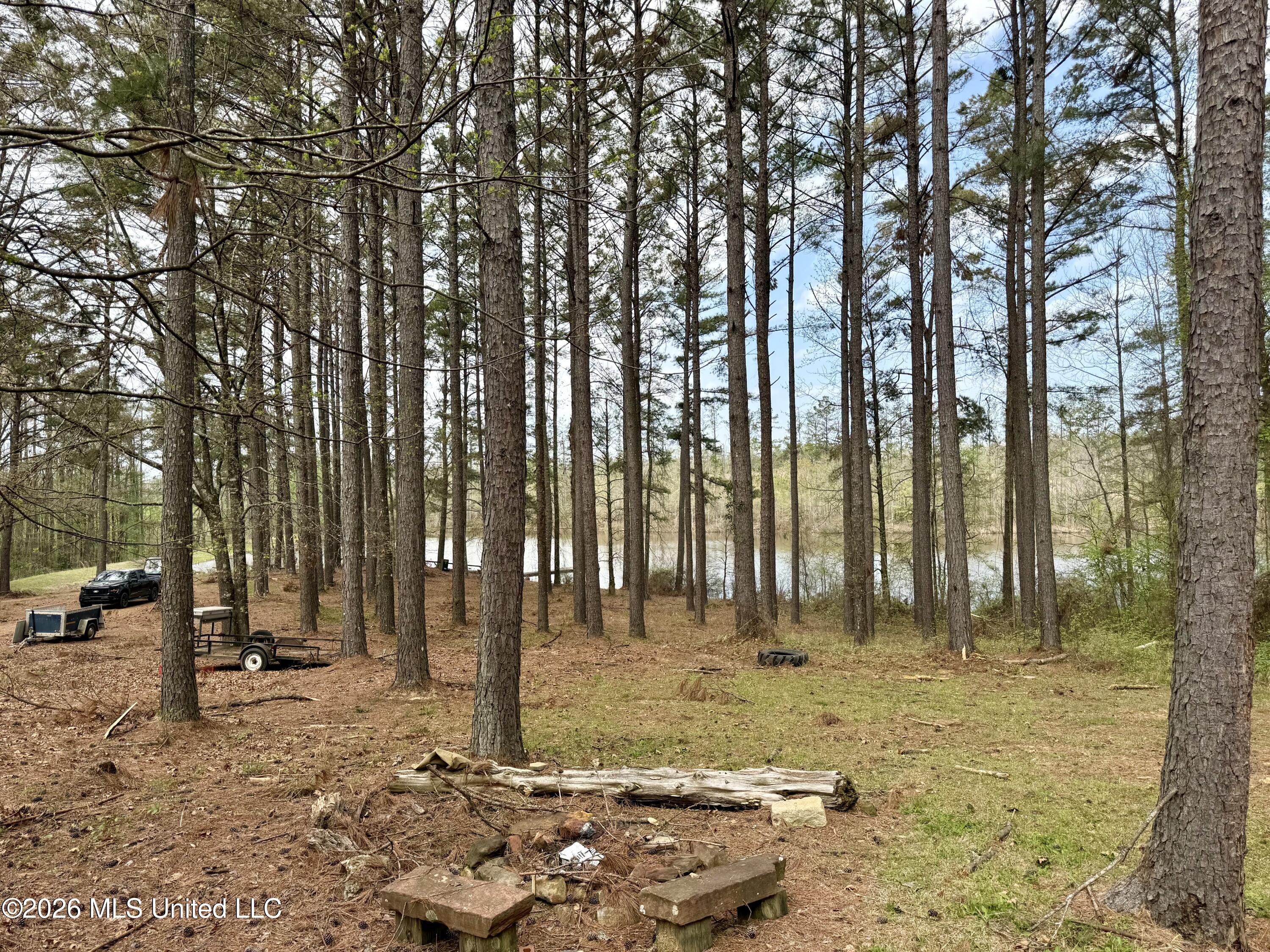 27979 Mississippi 12 Property Photo 7