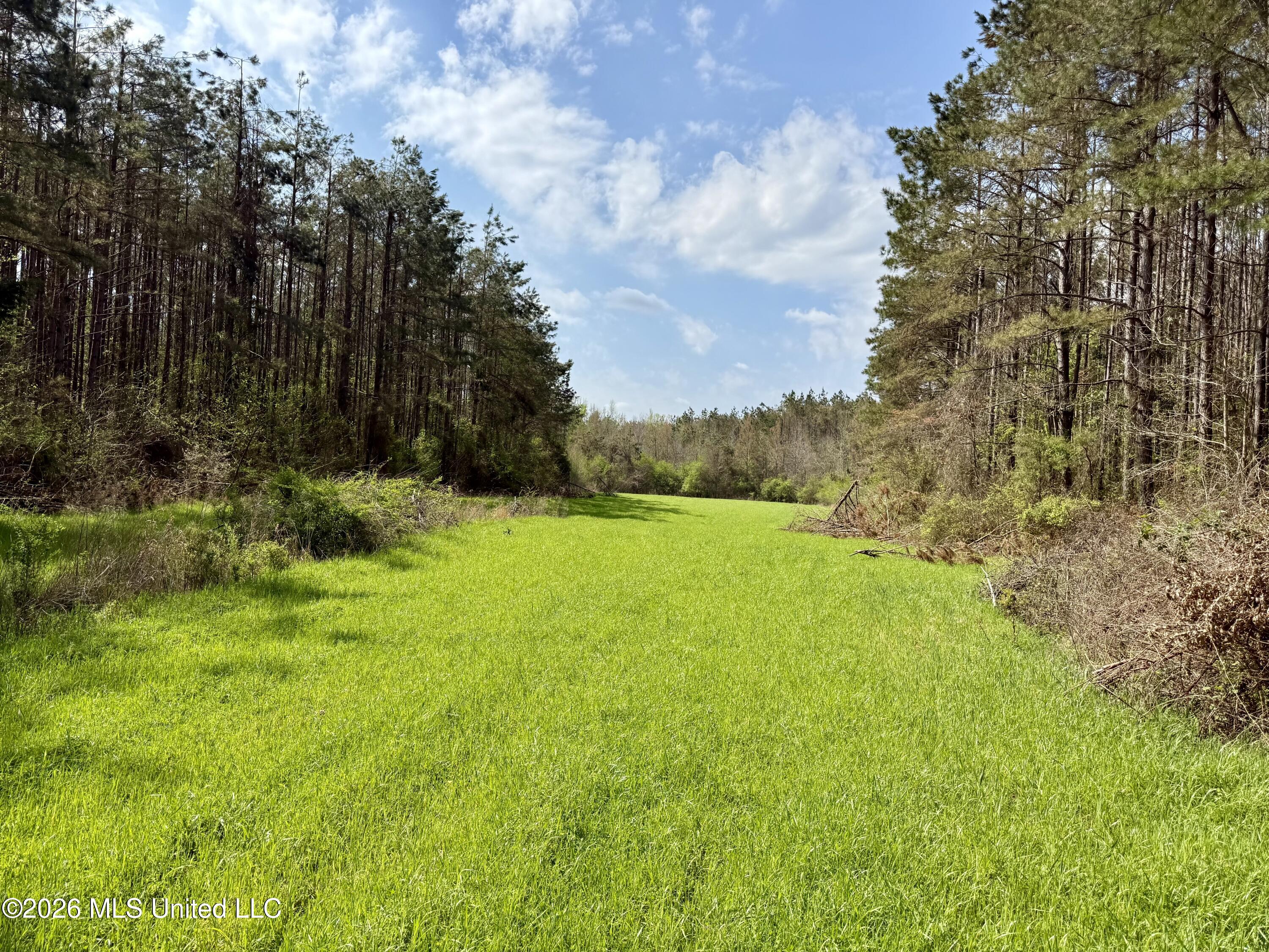 27979 Mississippi 12 Property Photo 8