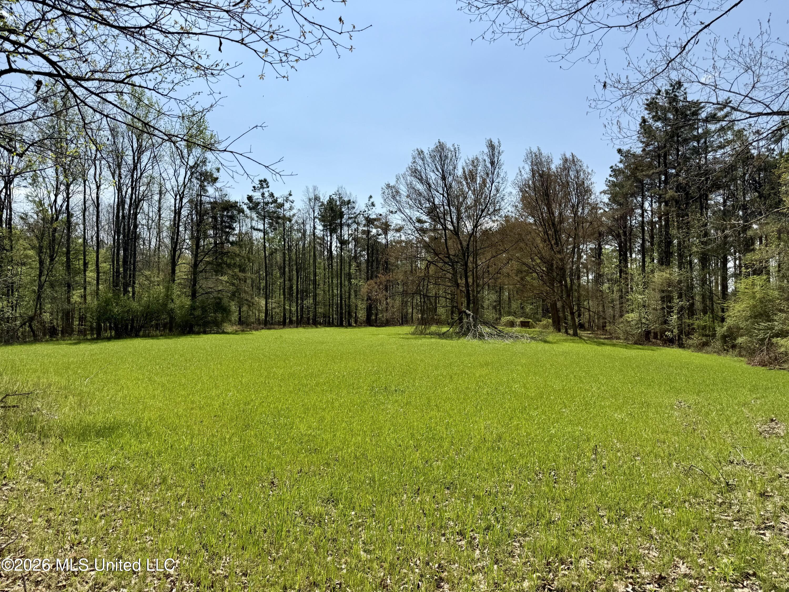 27979 Mississippi 12 Property Photo 11