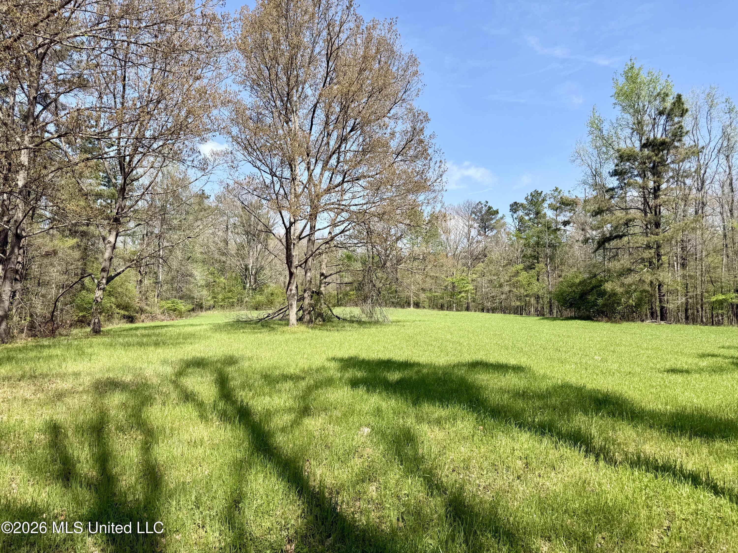 27979 Mississippi 12 Property Photo 12