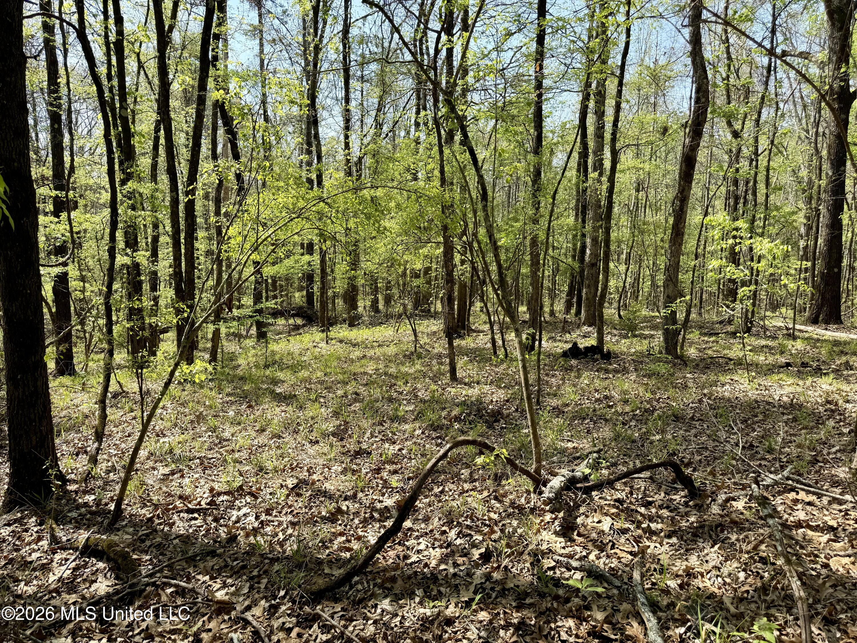 27979 Mississippi 12 Property Photo 14