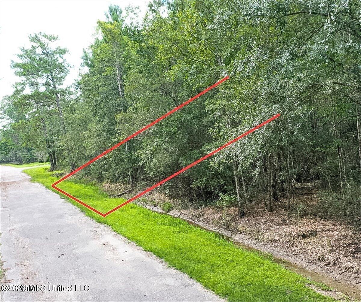 Tampa Circle Property Photo 3