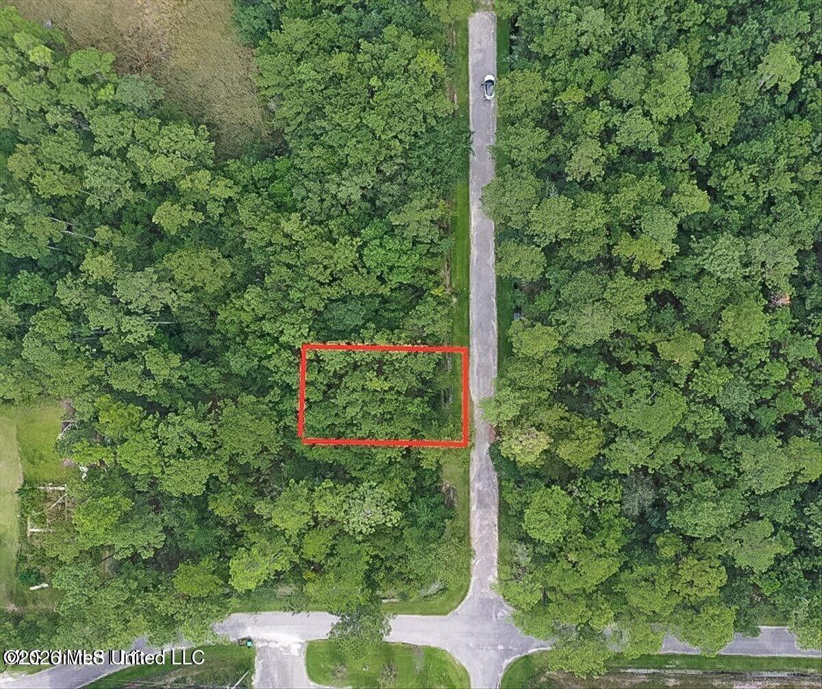 Tampa Circle Property Photo 4
