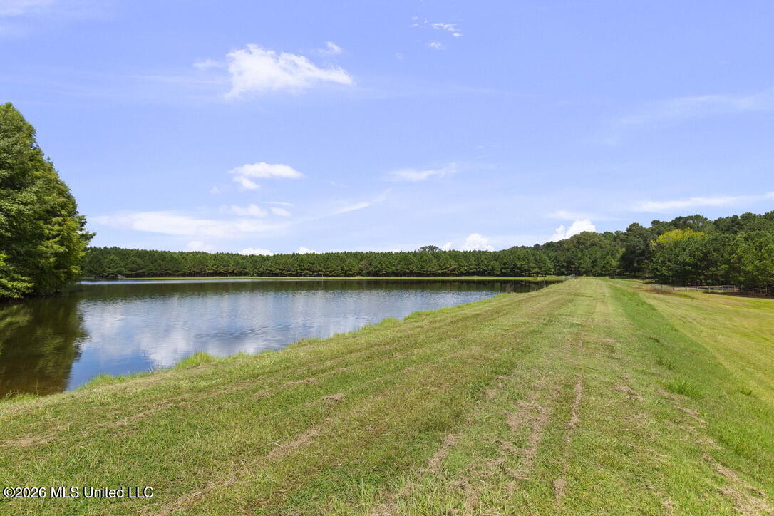 1454 Livingston Vernon Road Property Photo 54
