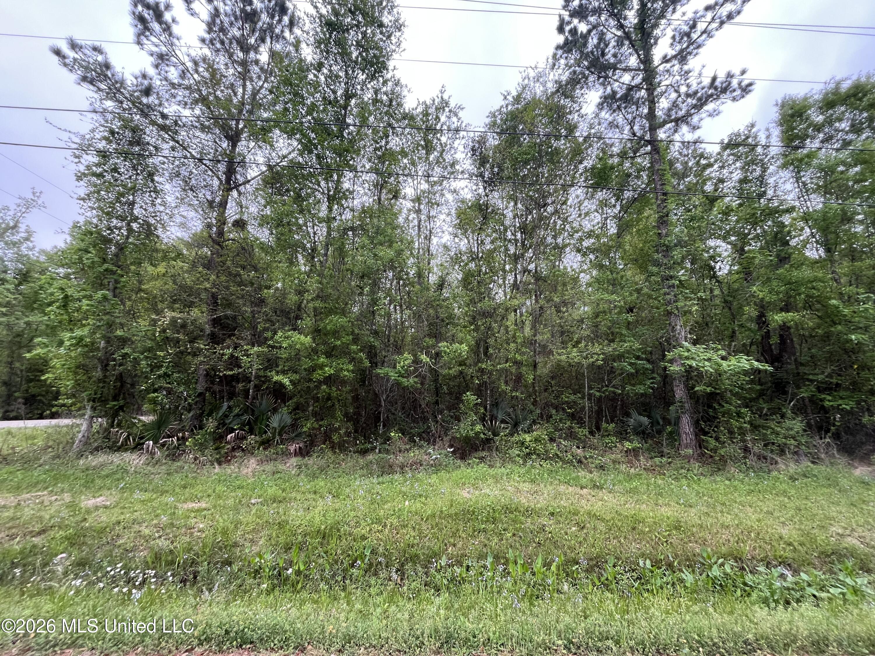 Lot 1 Cedar Drive