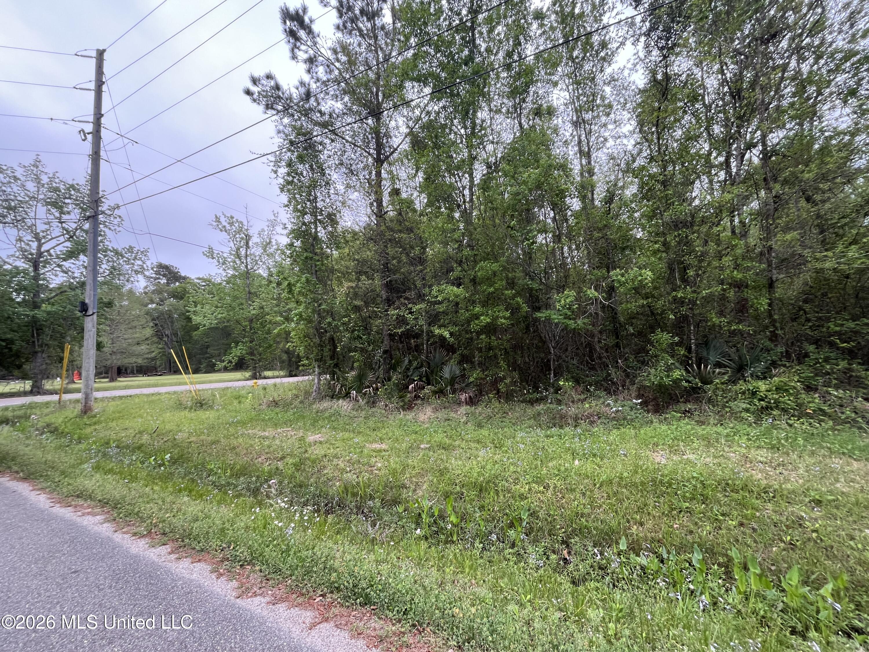 Lot 1 Cedar Drive Property Photo 5
