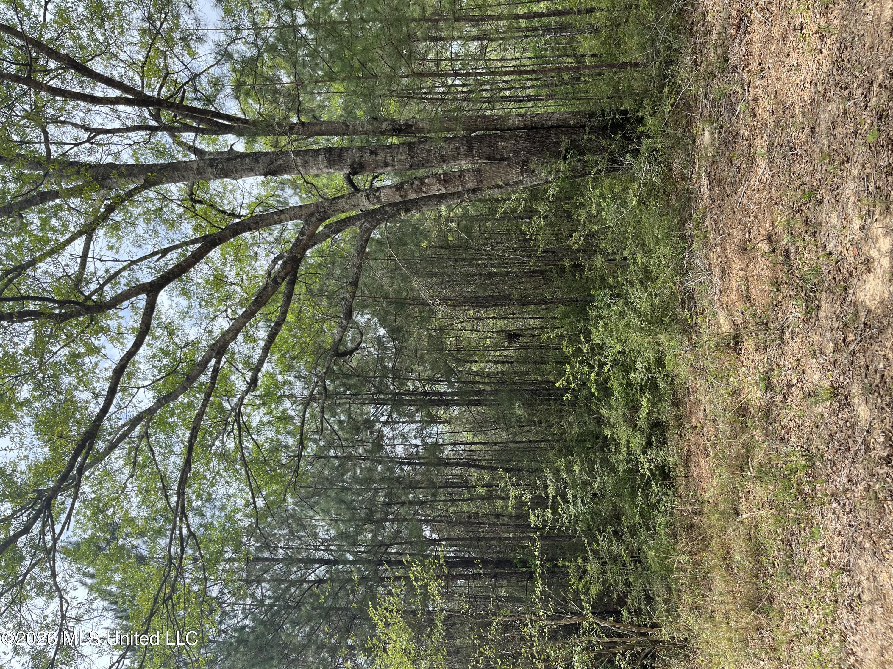 21 Range Line Road Property Photo 1