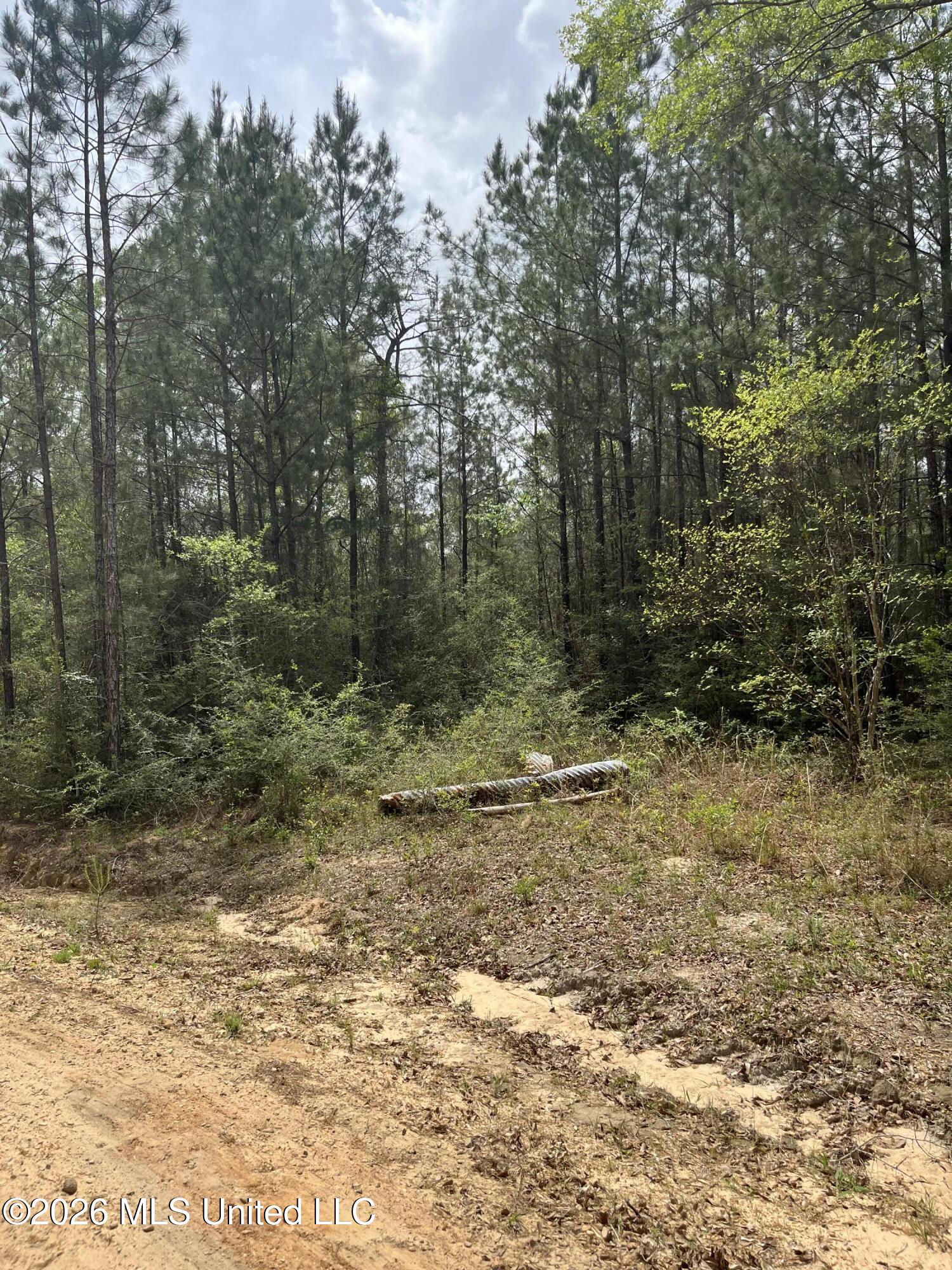 21 Range Line Road Property Photo 2