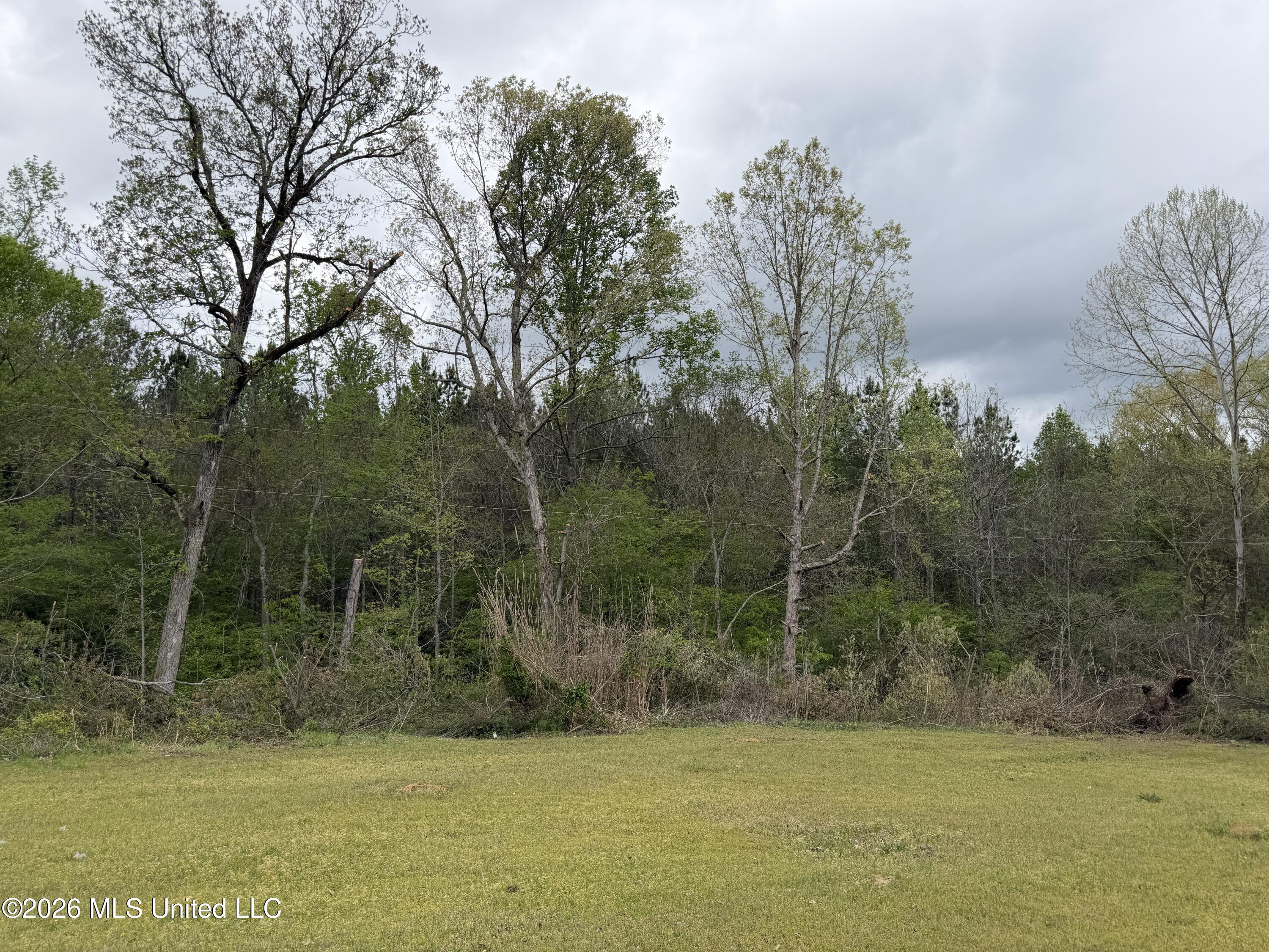 1861 Highway 25 Property Photo 31