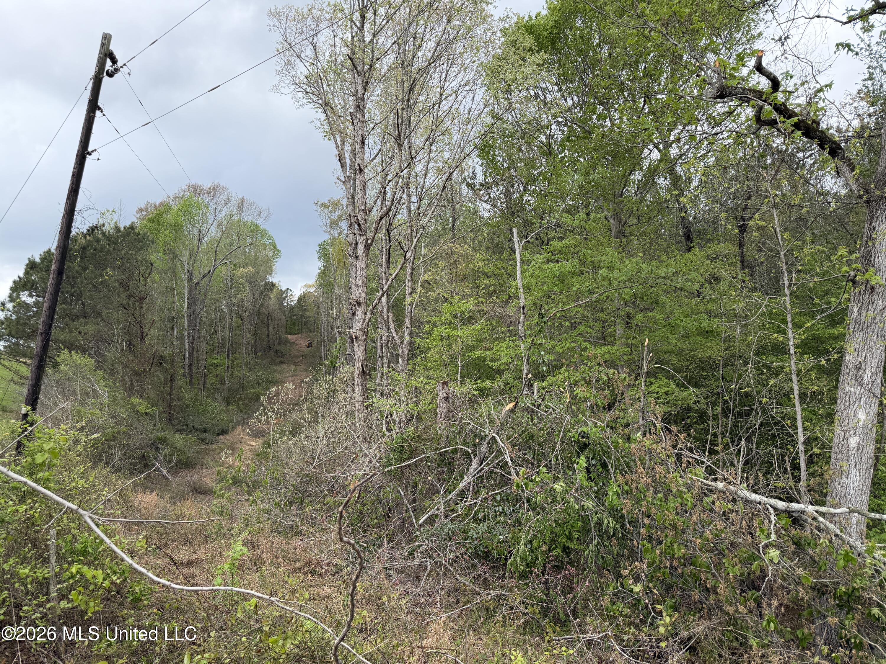 1861 Highway 25 Property Photo 33