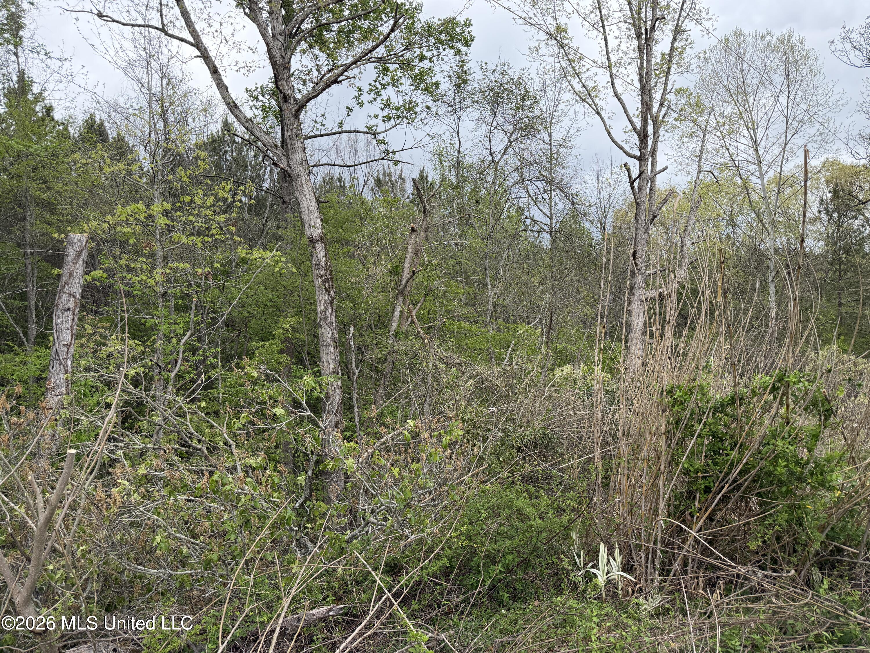 1861 Highway 25 Property Photo 34