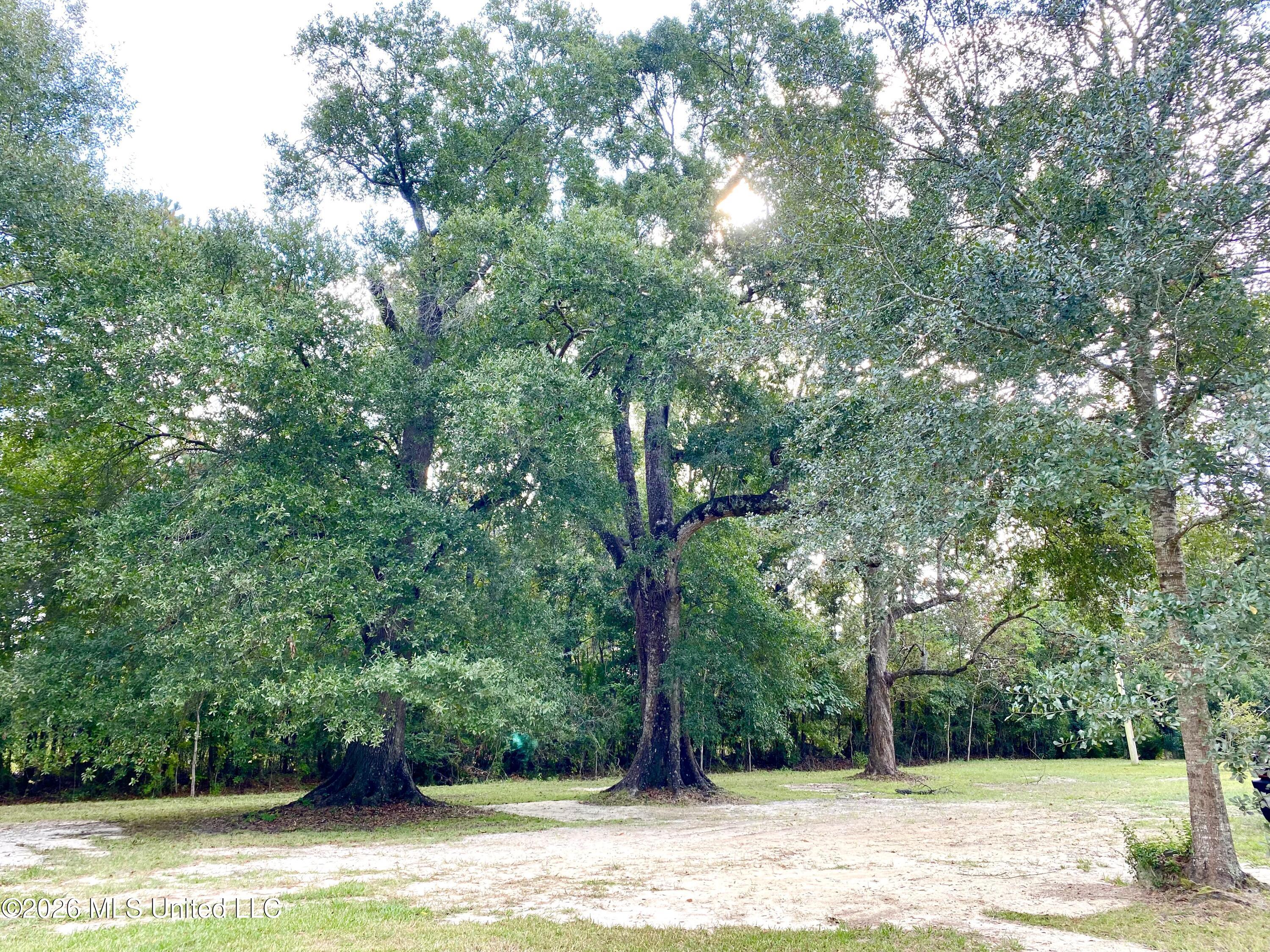 149 Grover Barrett Road Property Photo 15