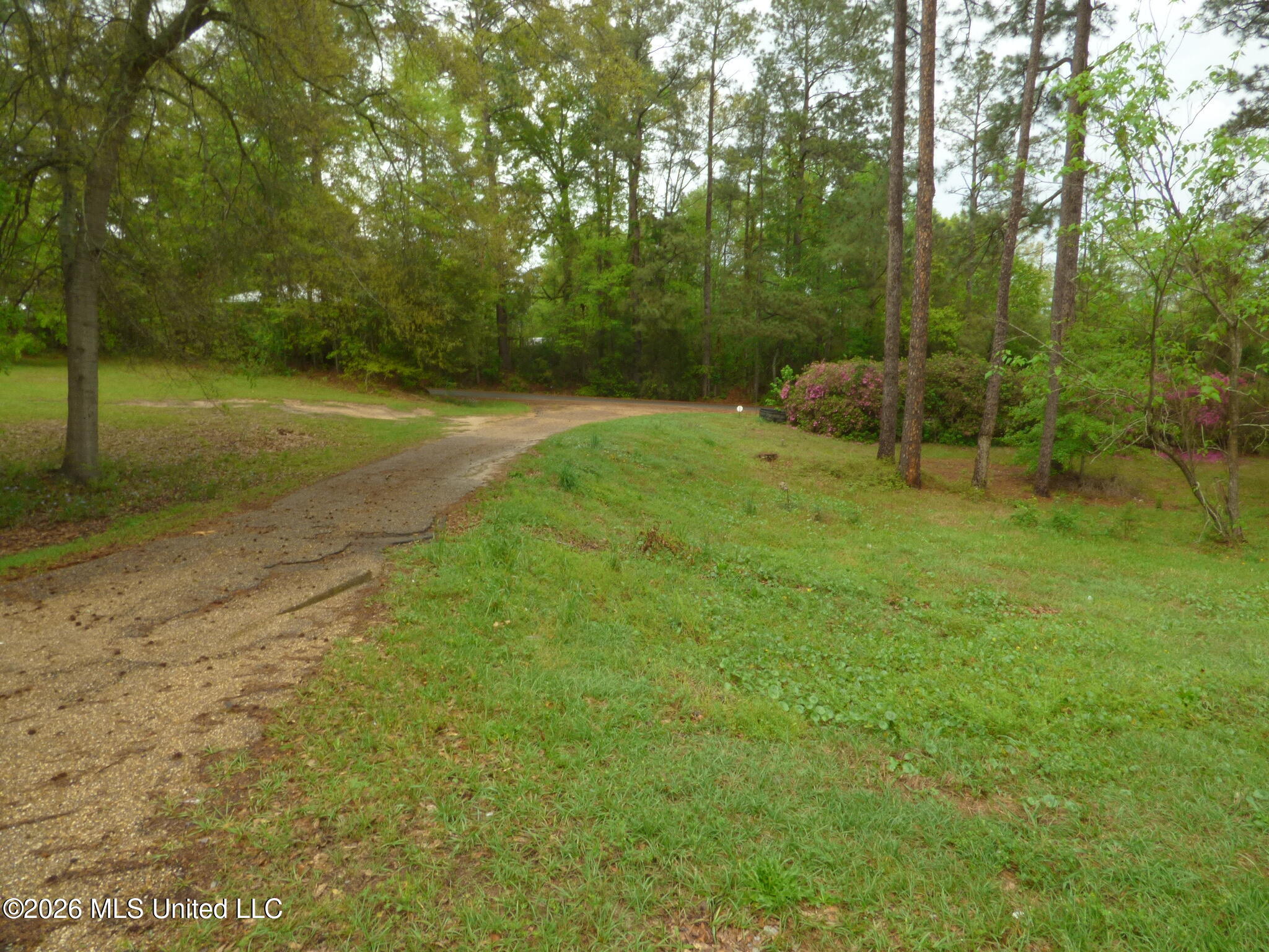 326 Roan Ready Road Property Photo 17
