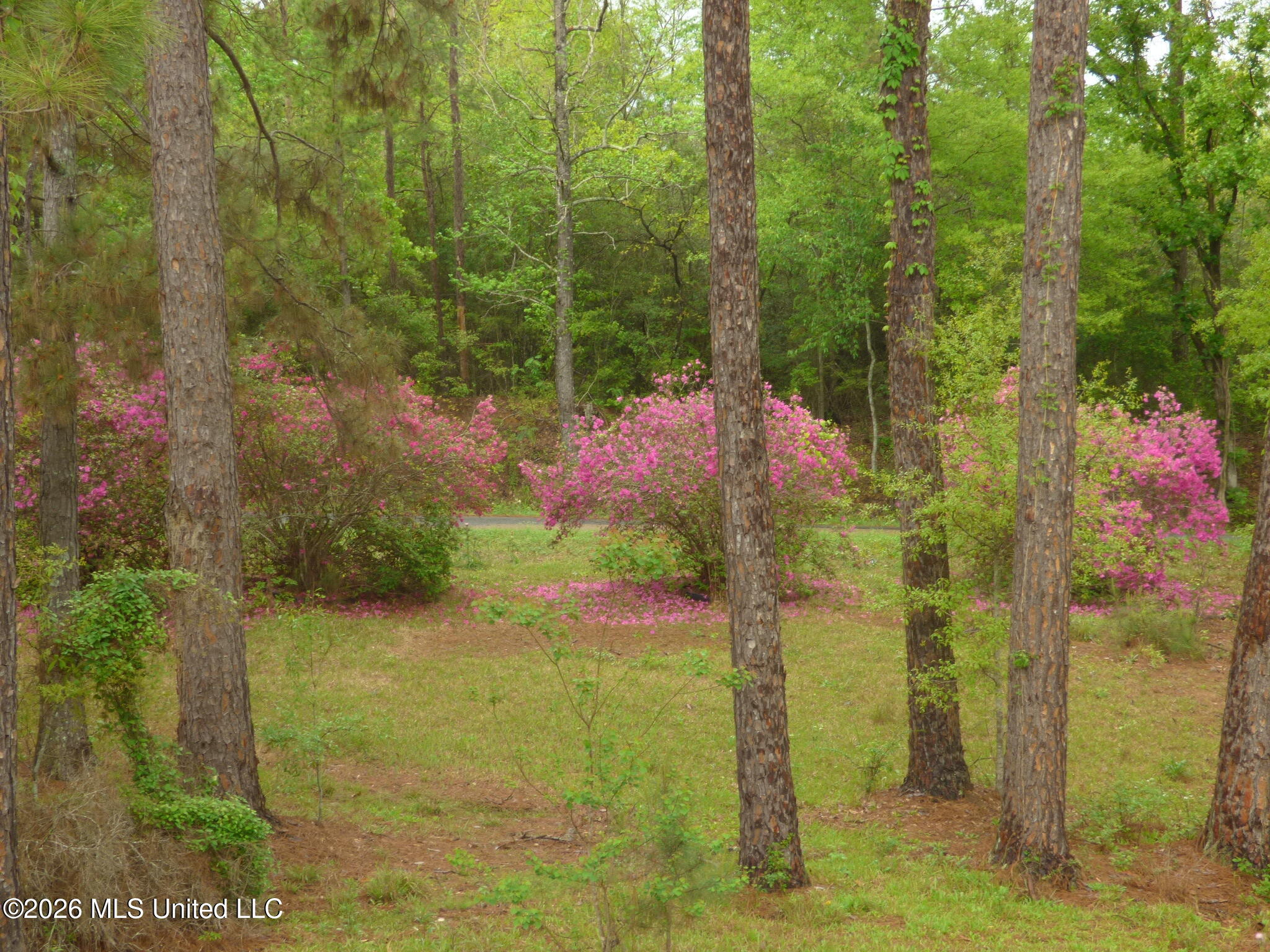 326 Roan Ready Road Property Photo 18