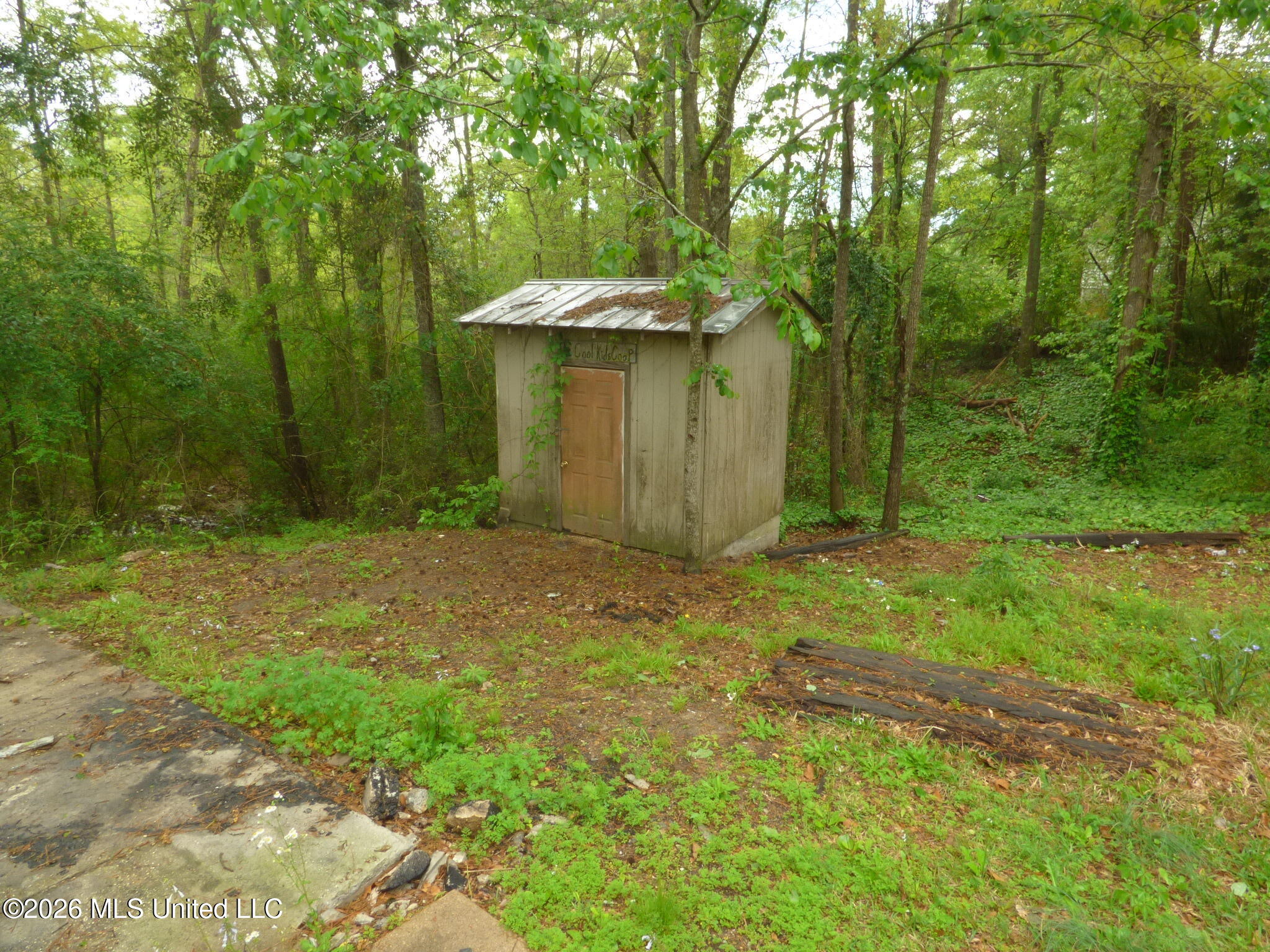 326 Roan Ready Road Property Photo 21