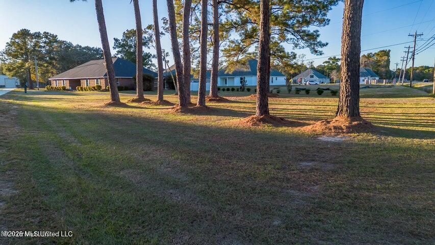 7079 Menge Avenue Property Photo 41