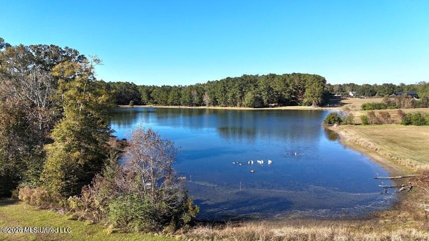 2655 S Highway 43 Property Photo 9