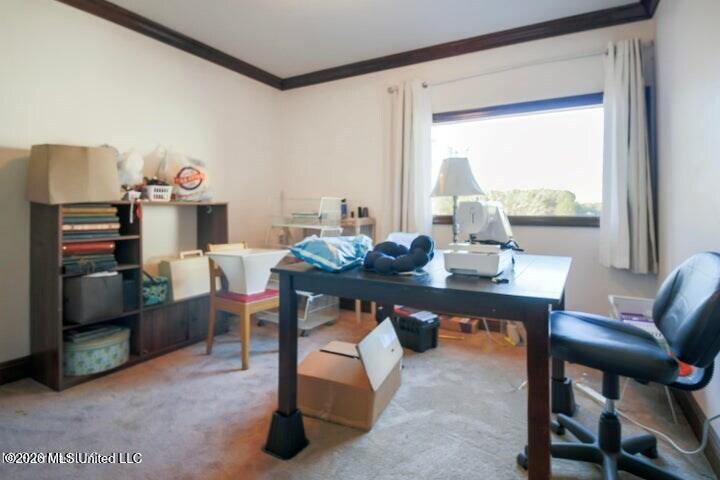 2655 S Highway 43 Property Photo 49