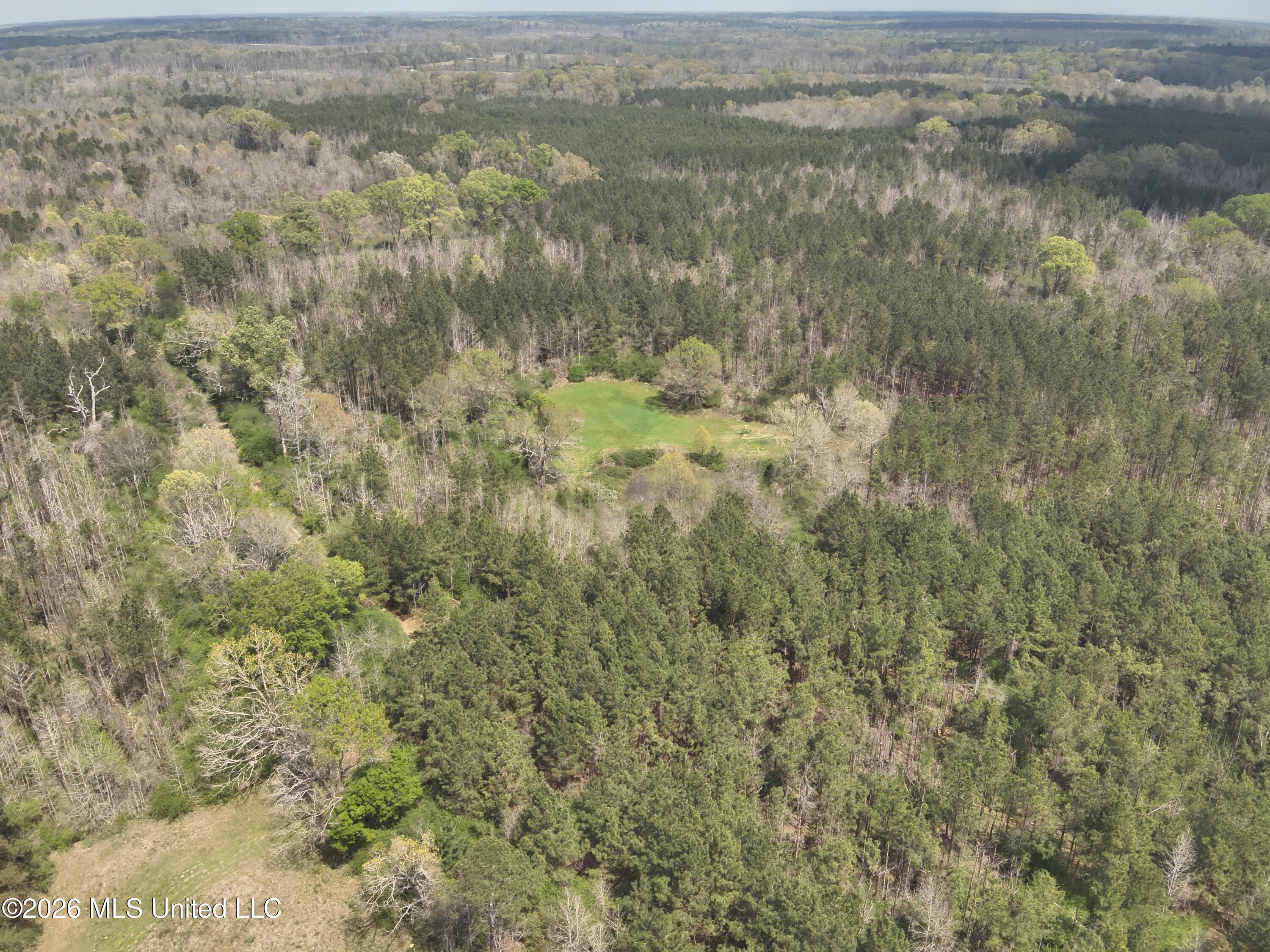 3194 James Road Property Photo 5