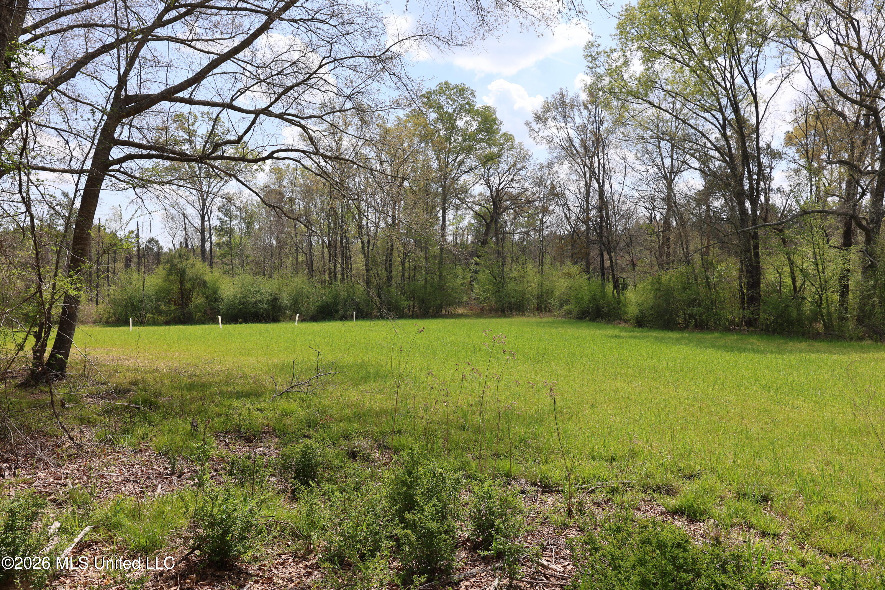 3194 James Road Property Photo 25