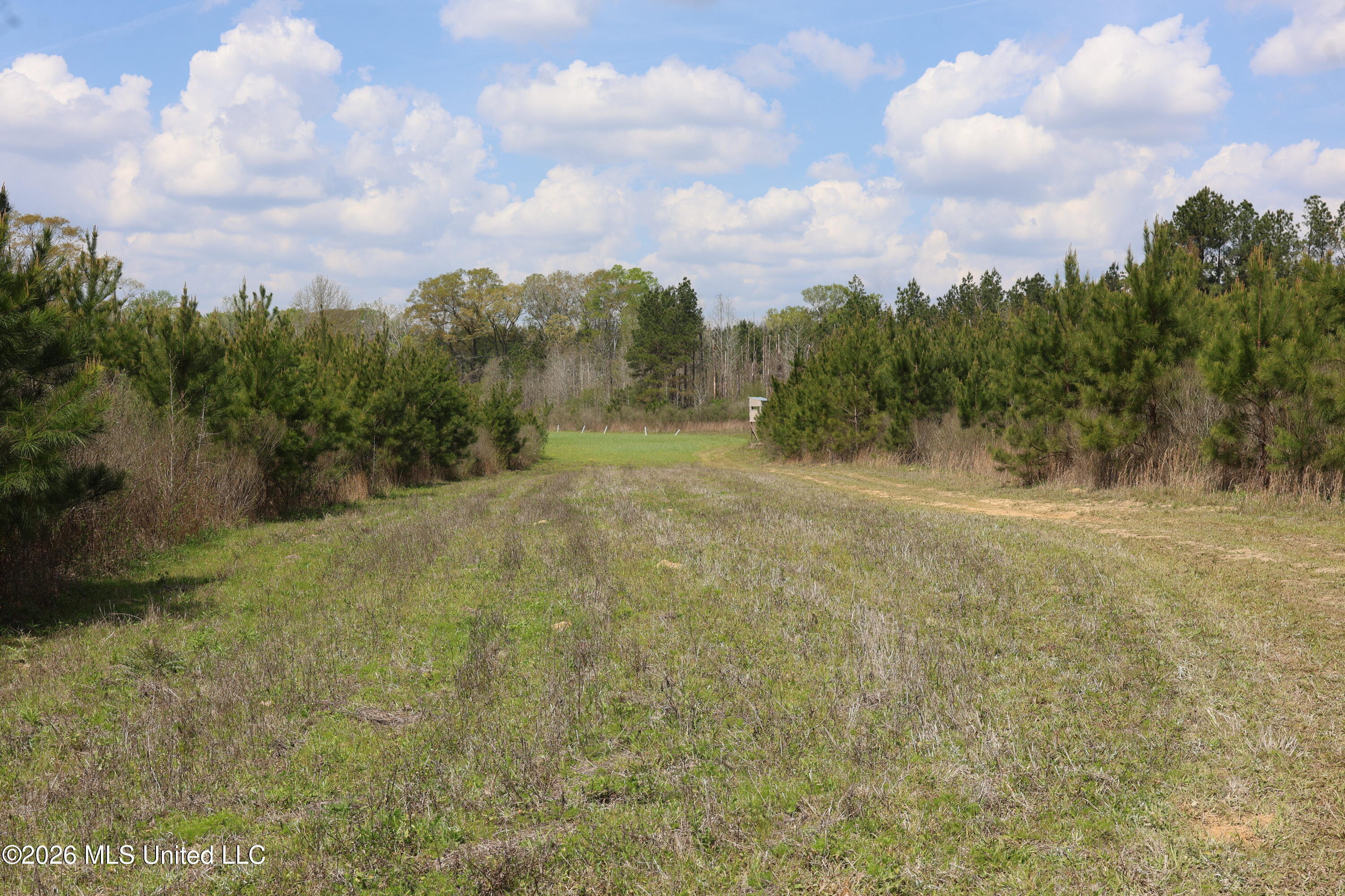3194 James Road Property Photo 26