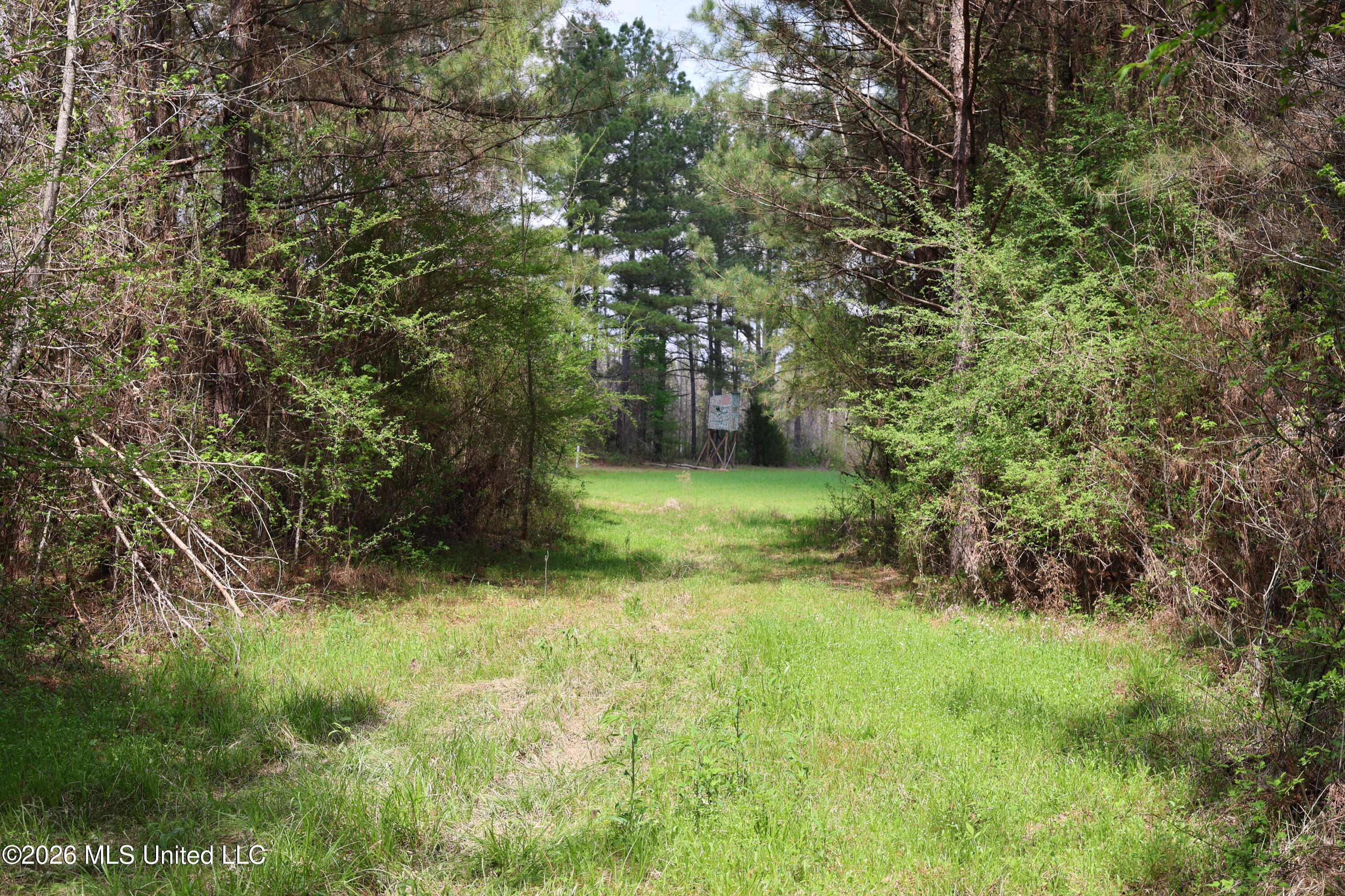 3194 James Road Property Photo 27