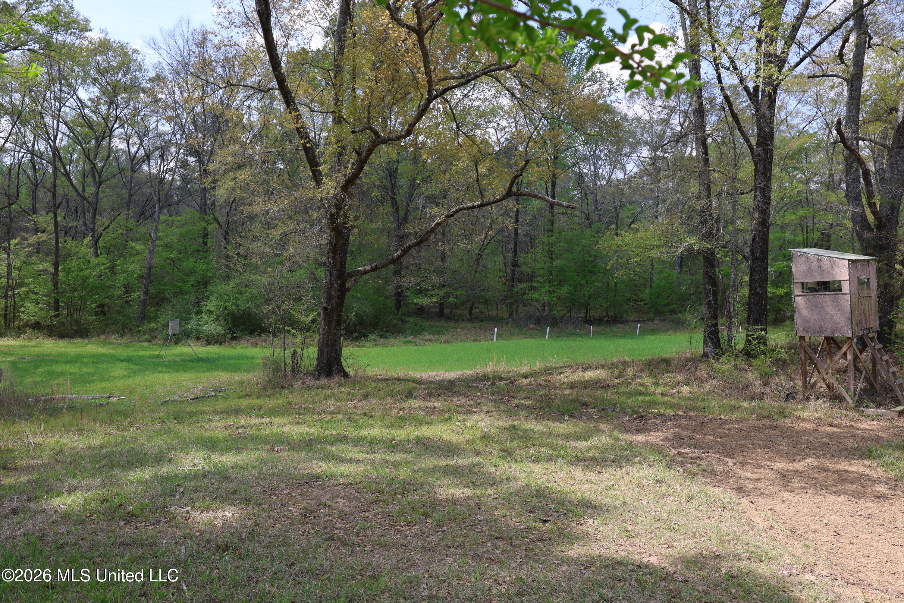 3194 James Road Property Photo 28