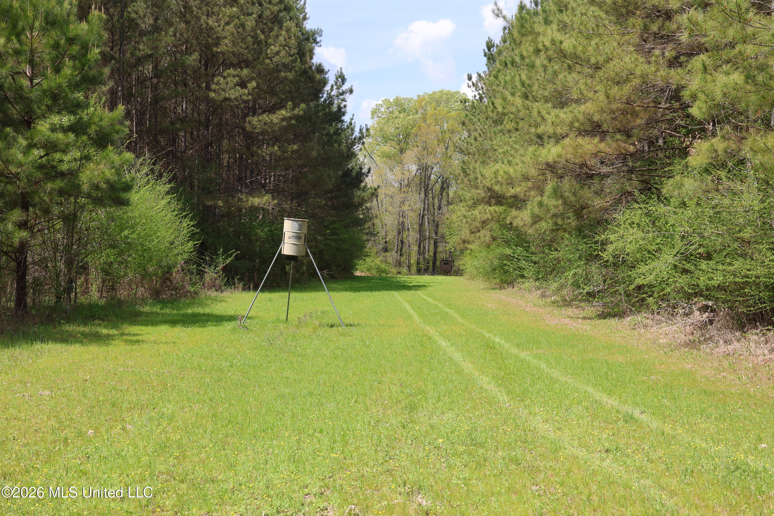 3194 James Road Property Photo 29