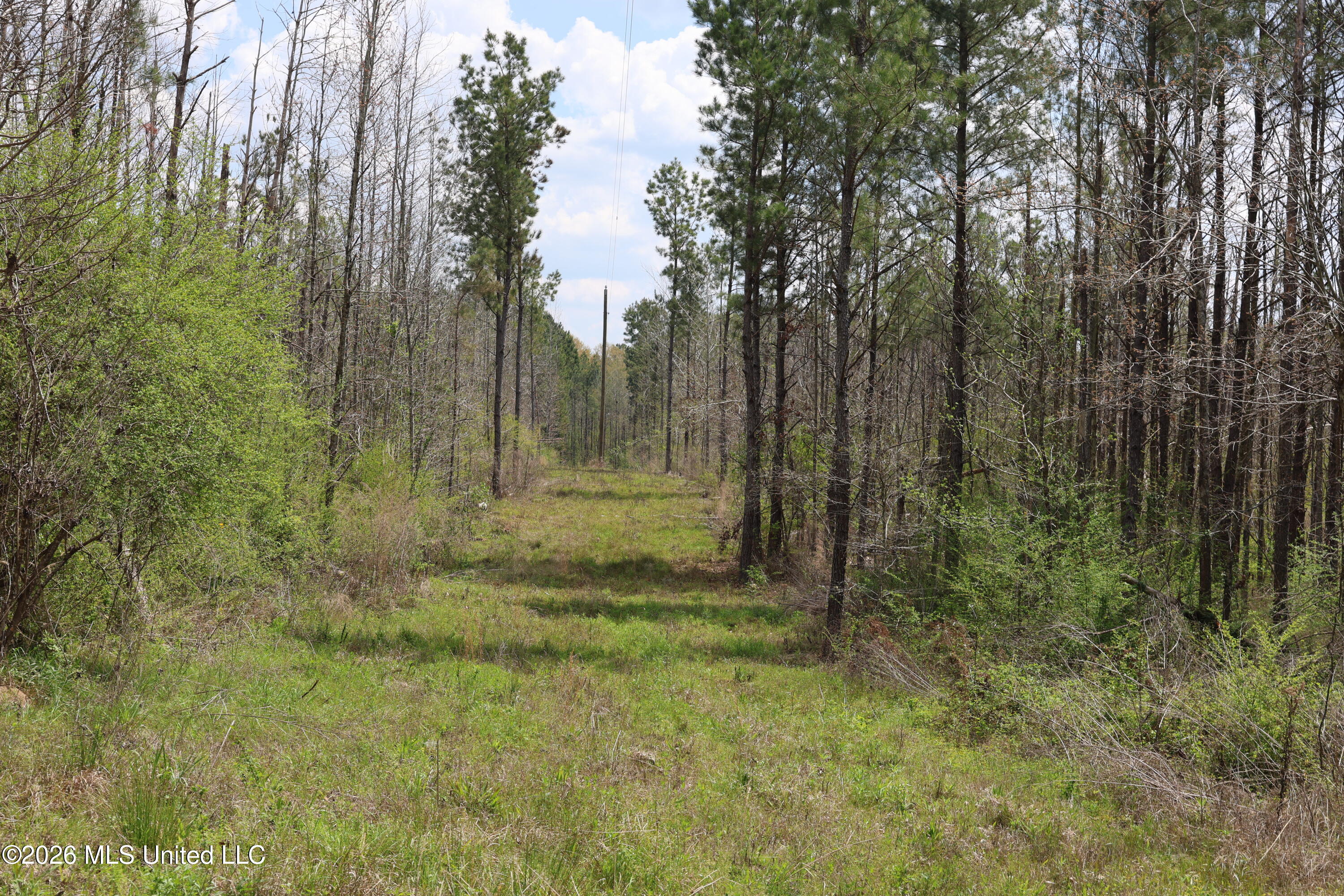 3194 James Road Property Photo 32