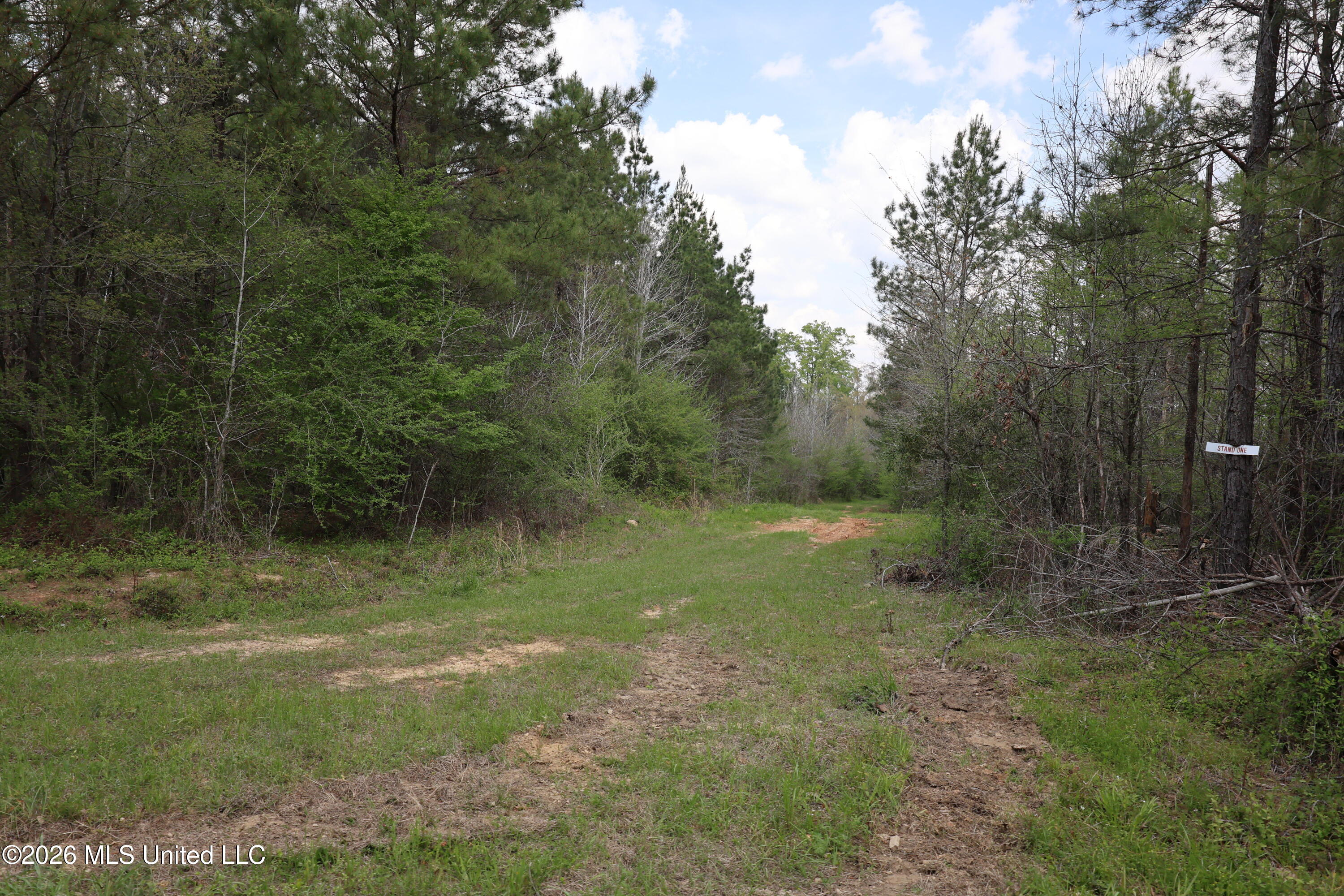 3194 James Road Property Photo 36